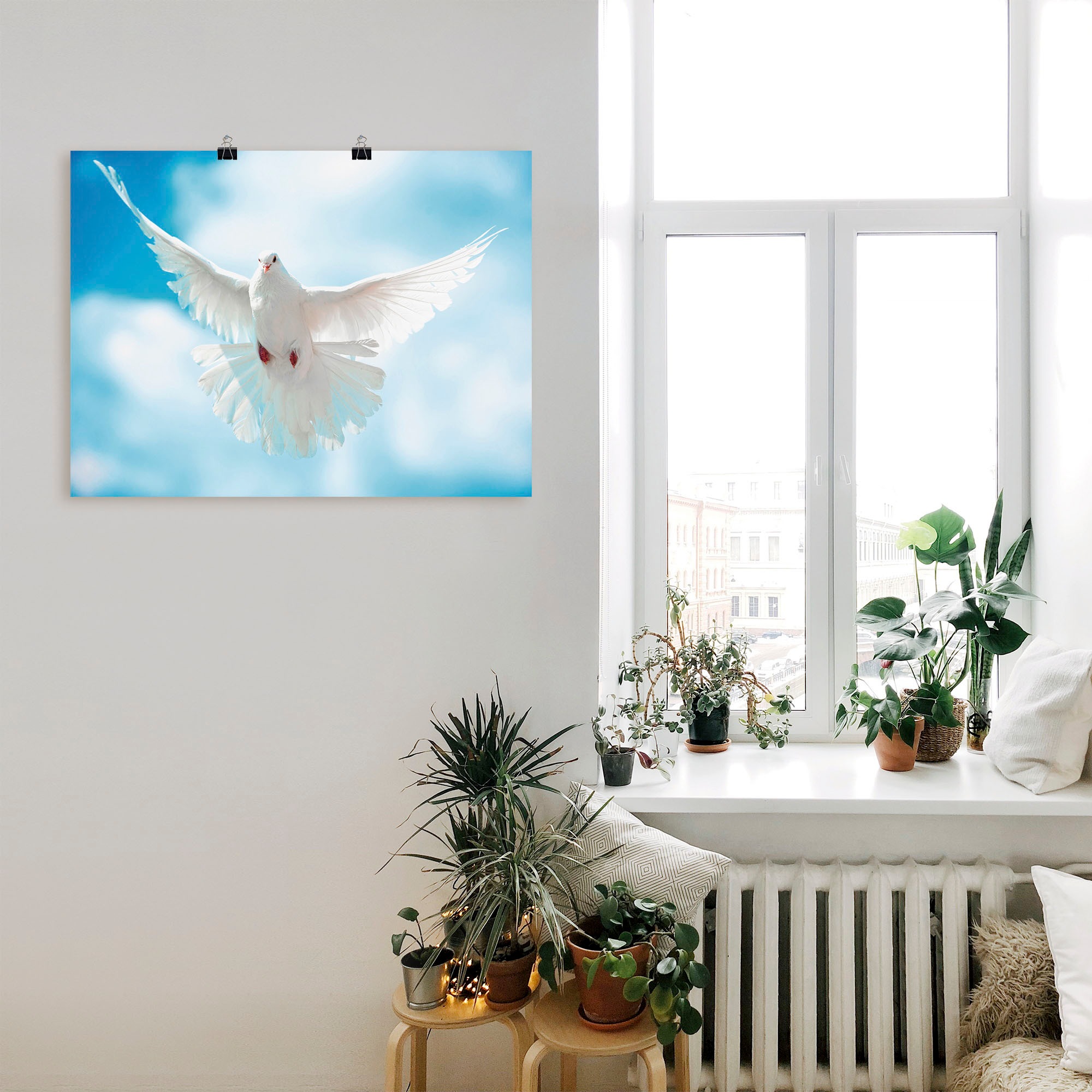 Artland Wandbild "Taube mit ausgebreiteten Flügeln" Vögel 1 Stk. tlg. als A günstig online kaufen