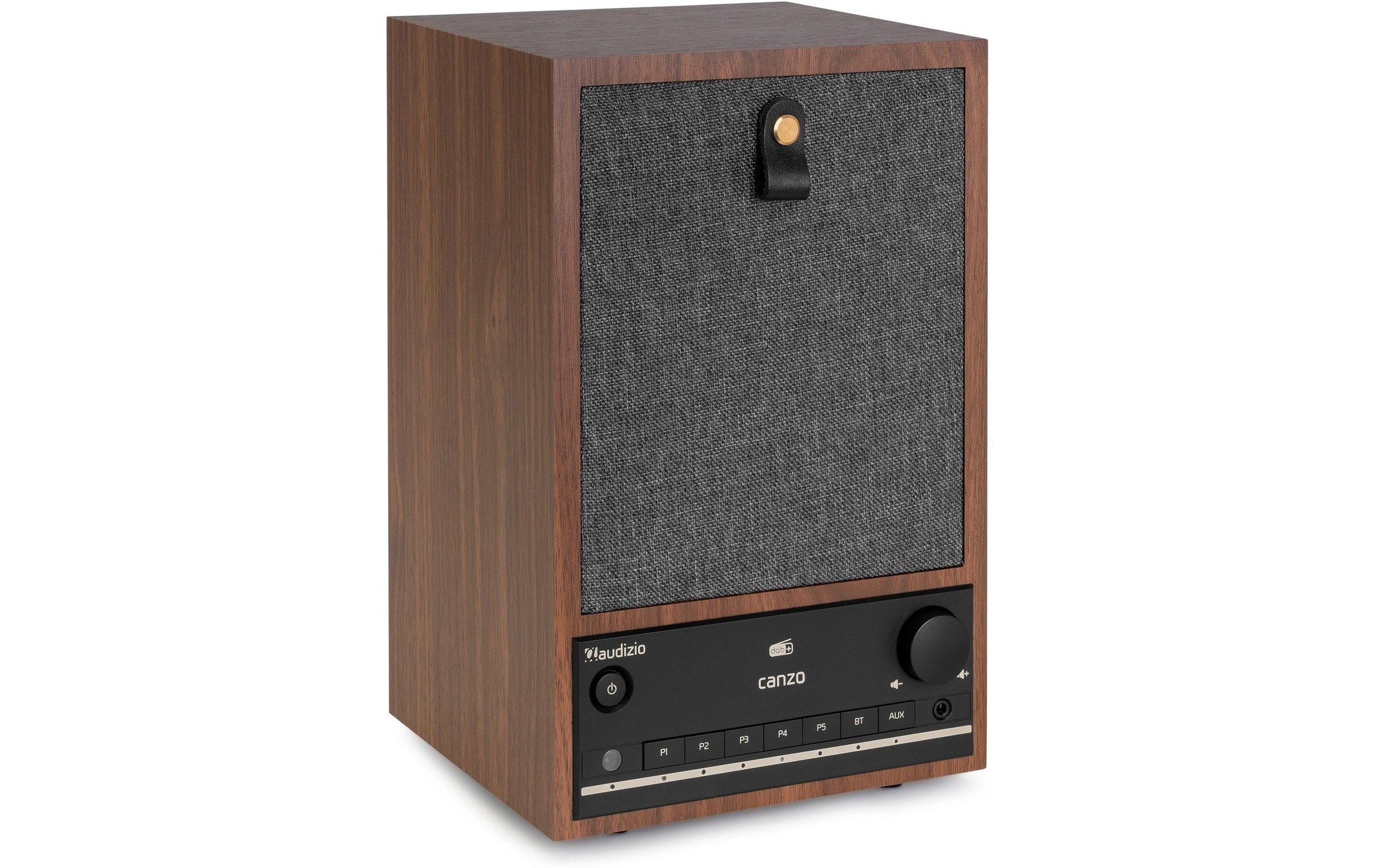AUDIZIO Digitalradio (DAB+) »Internet Canzo« ( )