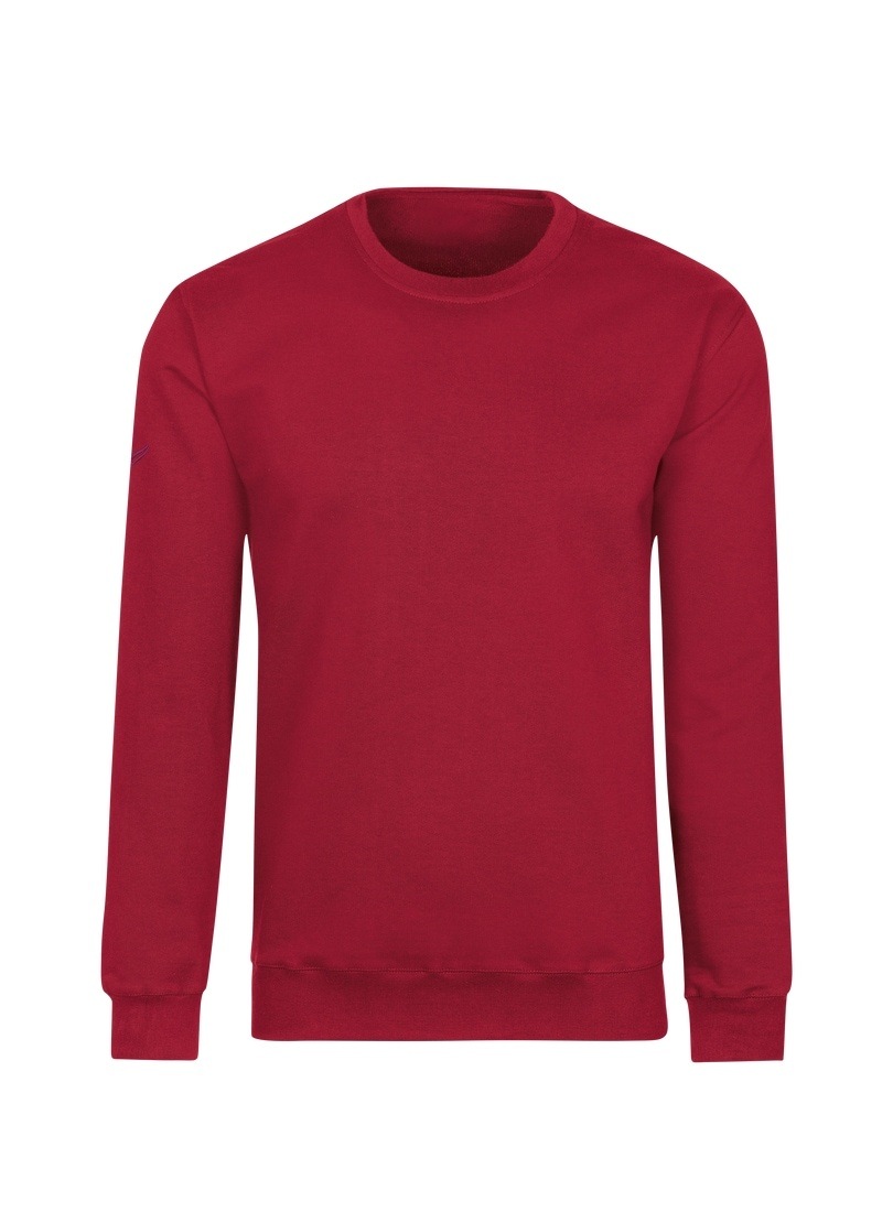 Trigema Sweatshirt »TRIGEMA Sweatshirt aus Biobaumwolle«