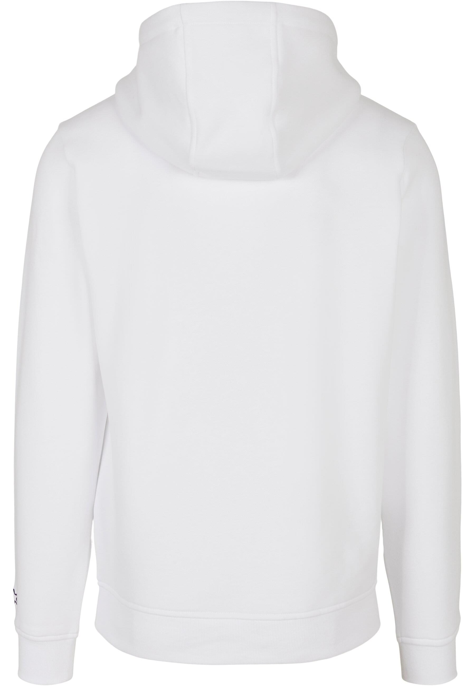 Starter Black Label Kapuzensweatshirt »Starter Black Label Herren Starter Swing Hoody«, (1 tlg.)