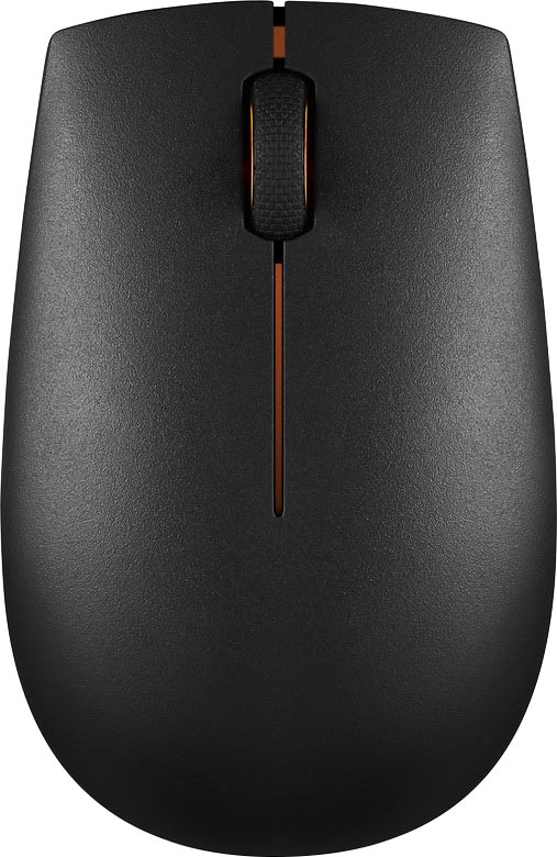 LENOVO ergonomische Maus "300 kompakte Funkmaus", B:5,6cm H:3,2cm T:9,8cm, schwarz, Computer-Mäuse