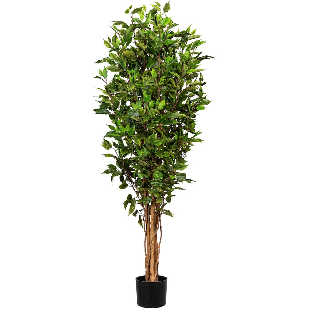 Creativ green Kunstbaum »Ficus Benjamini«