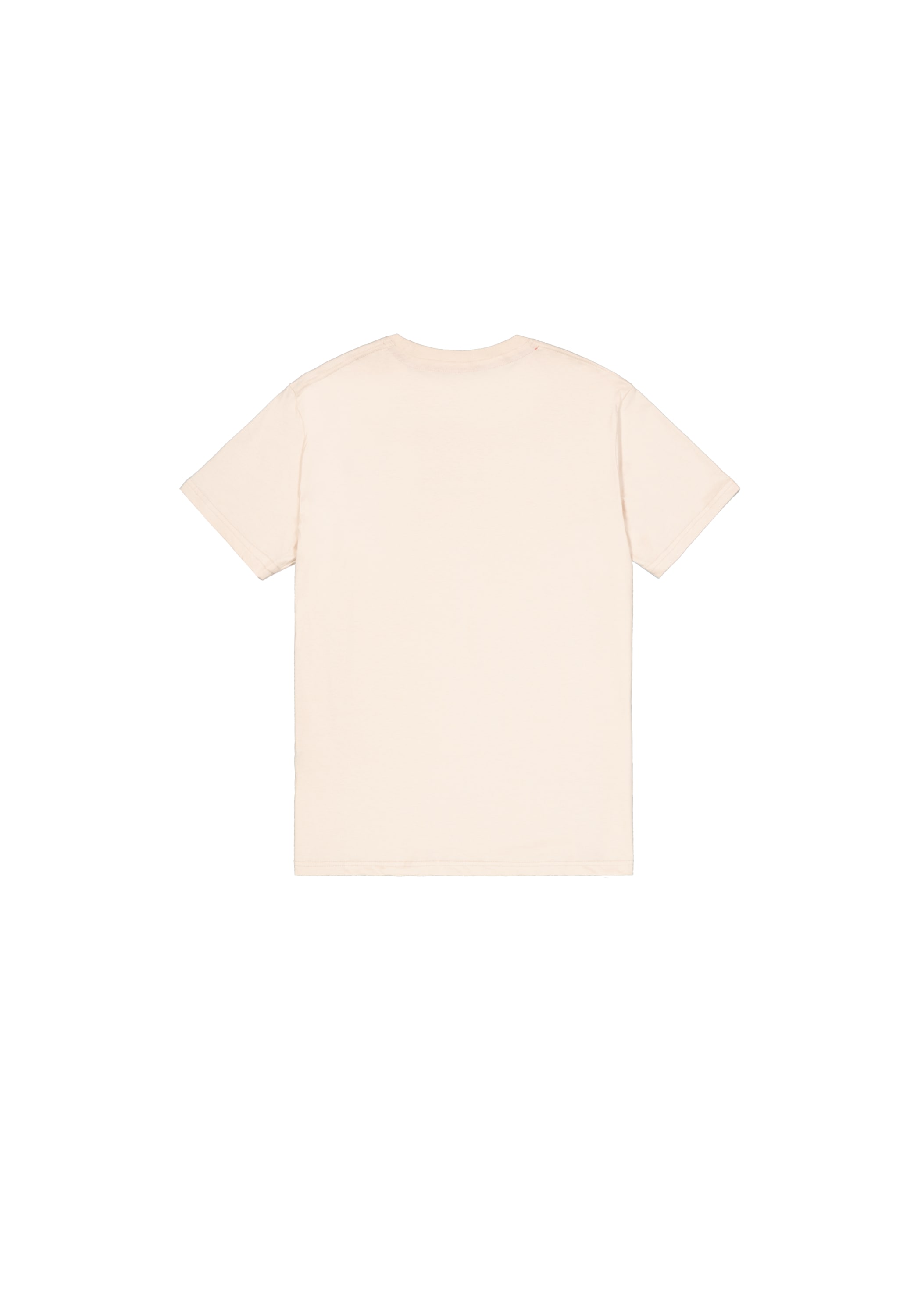 Alpha Industries T-Shirt »Alpha Wording T-Shirt«