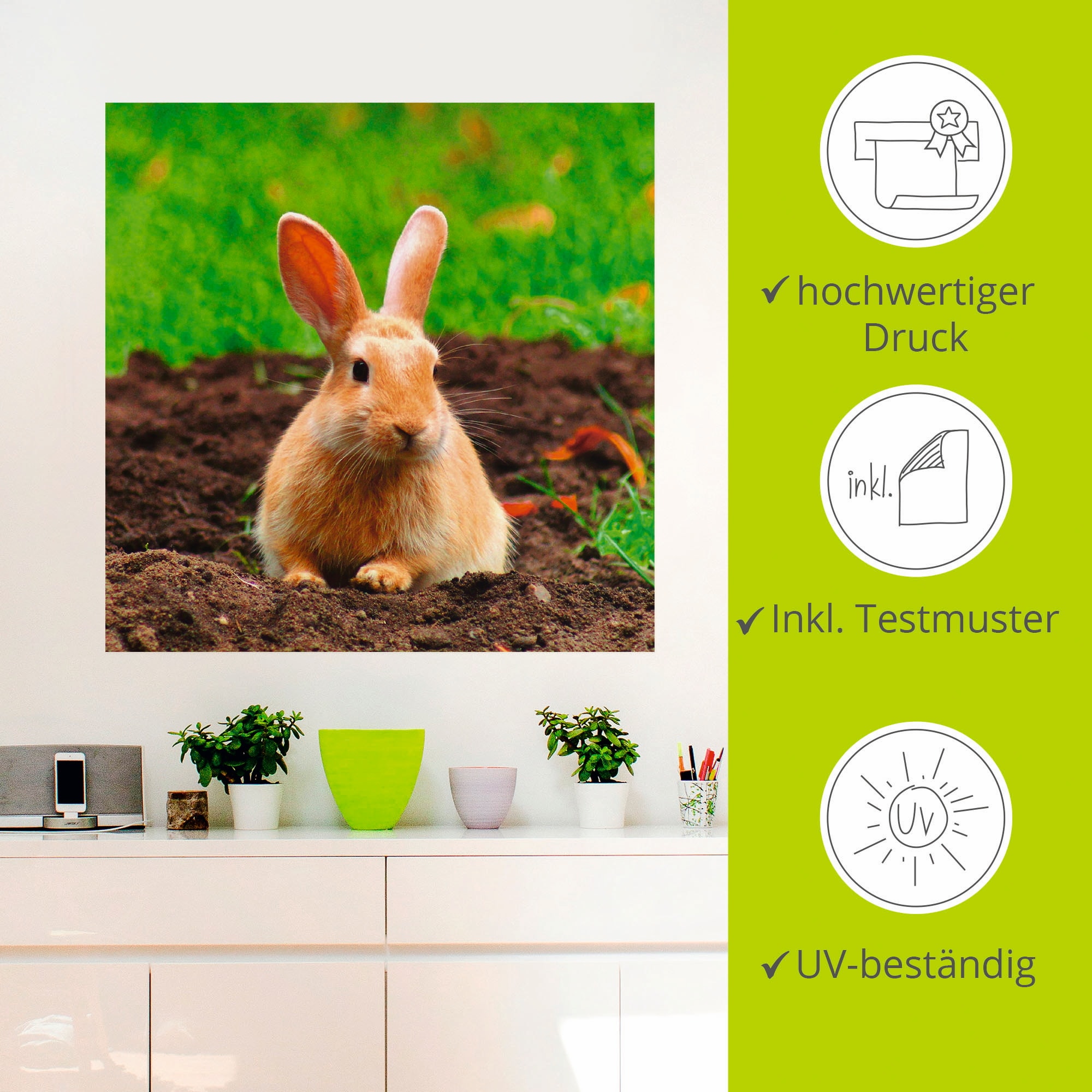 Artland Wandbild »Glückliches Zwergkaninchen«, Wildtiere, (1 St.), als Leinwandbild, Wandaufkleber in verschied. Größen