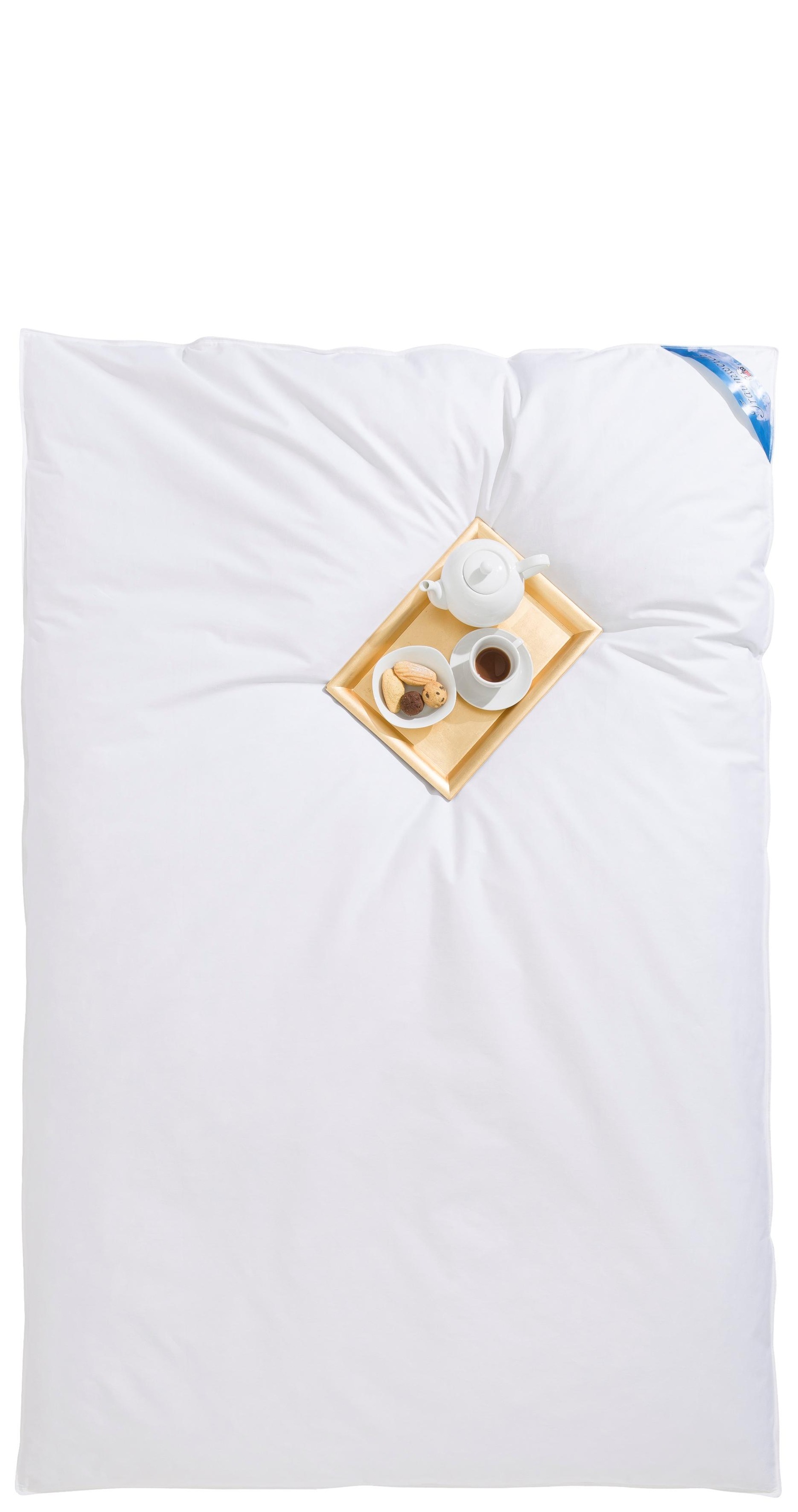 RIBECO Federbettdecke "Leon, Ballonbettdecke 135x200" extrawarm Füllung 100 günstig online kaufen