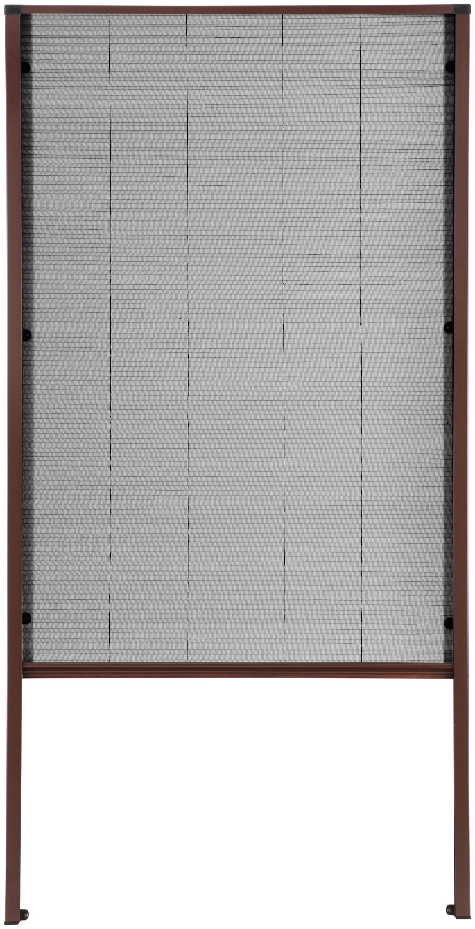 hecht international Insektenschutzrollo "für Dachfenster" transparent Insek günstig online kaufen