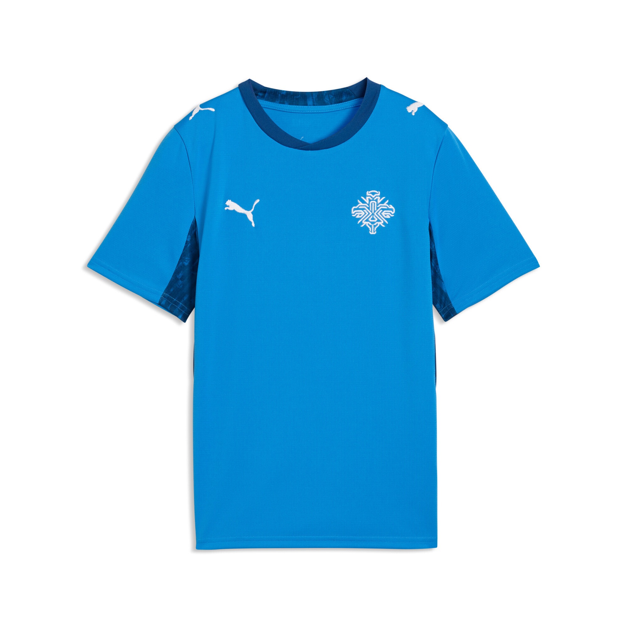 PUMA Trainingsshirt "Island 2026 Heimtrikot Jugendliche"