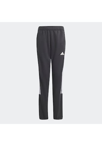 adidas Sportswear Sportinės kelnės »J HOT TIRO« (1 tlg.)...