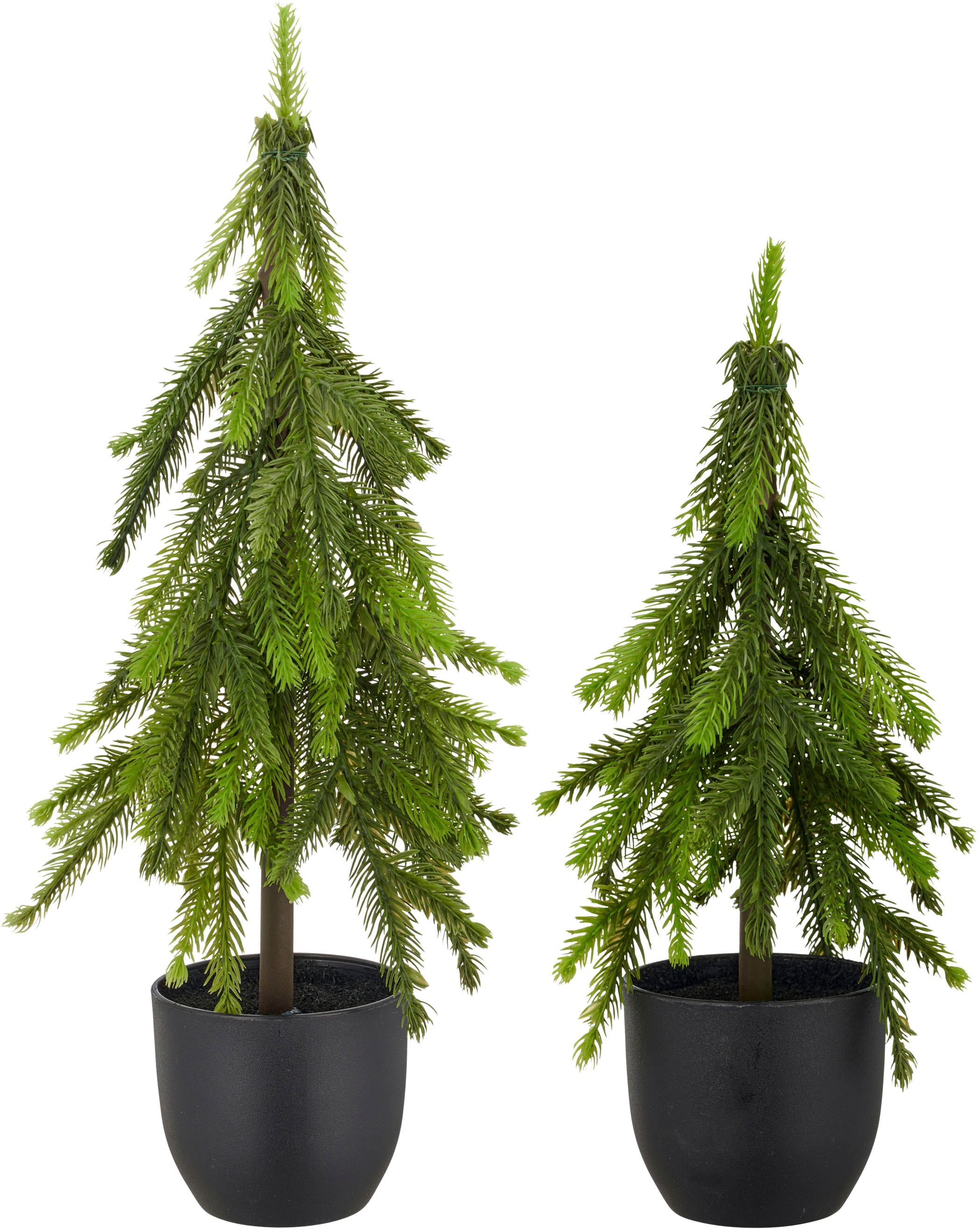 Creativ green Winterliche Kunstpflanze "Tannenbäumchen" günstig online kaufen