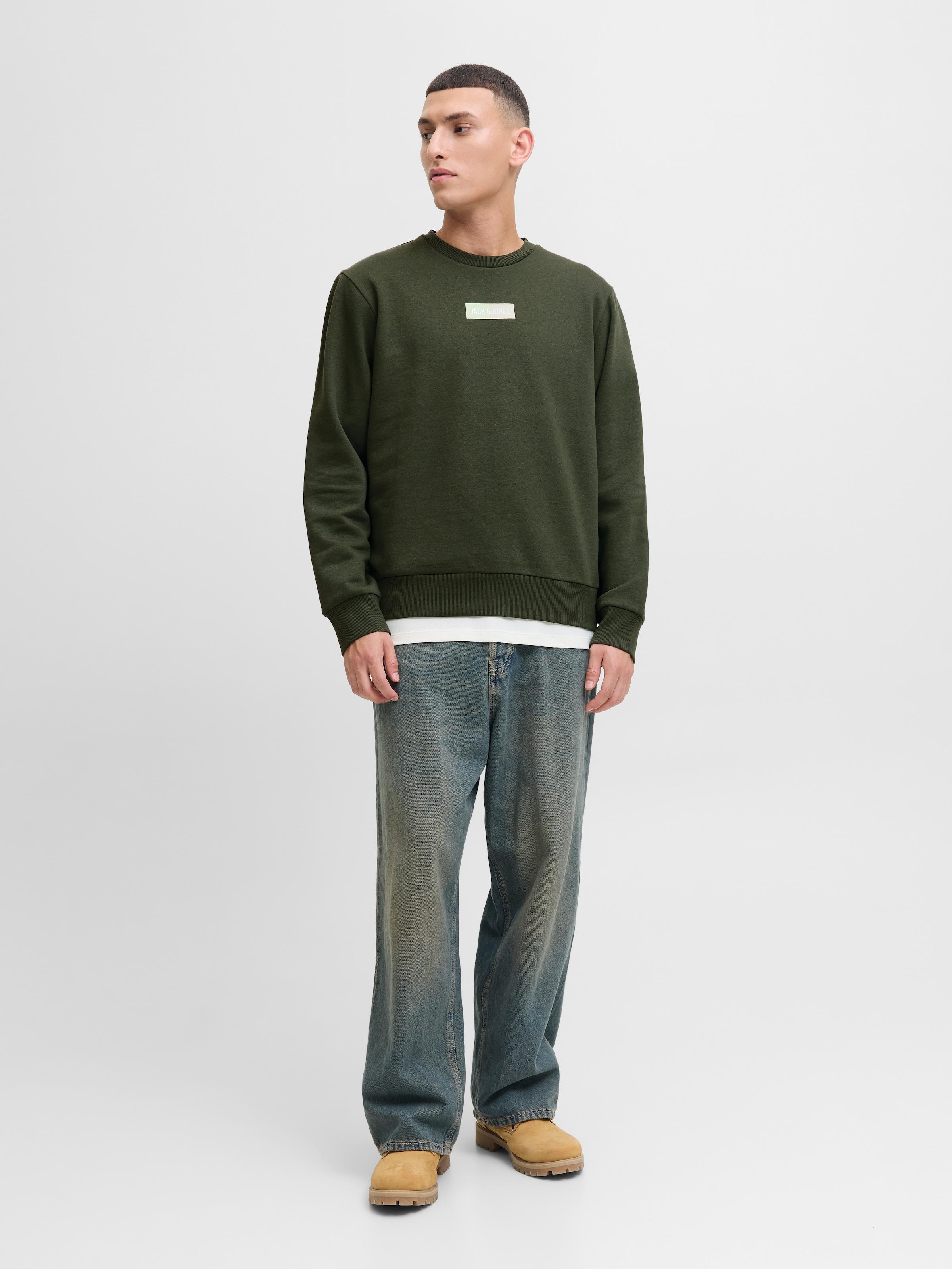 Jack & Jones Sweater »JJPAN SWEAT CREW NECK«