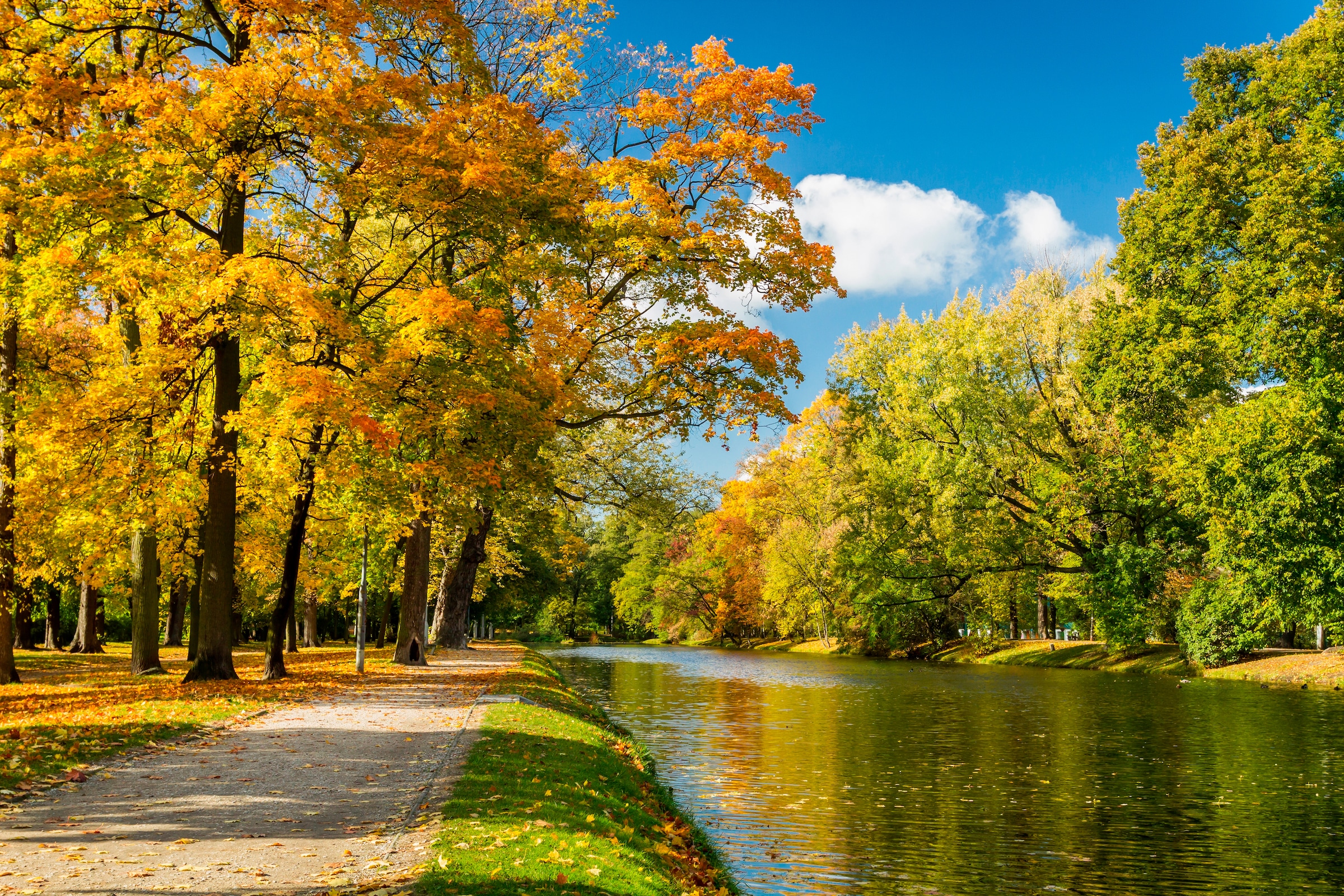 Papermoon Fototapete "River in Autumn Park" glatt