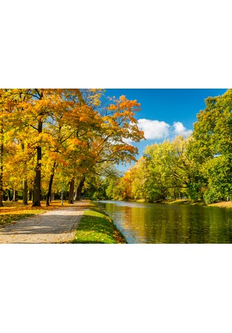 Papermoon Fototapetas »River in Autumn Park«