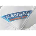 f.a.n. Schlafkomfort Microfaserbettdecke + Kopfkissen »Kansas«, (Spar-Set), f.a.n.-Topseller - seit Jahren bestens bewährt