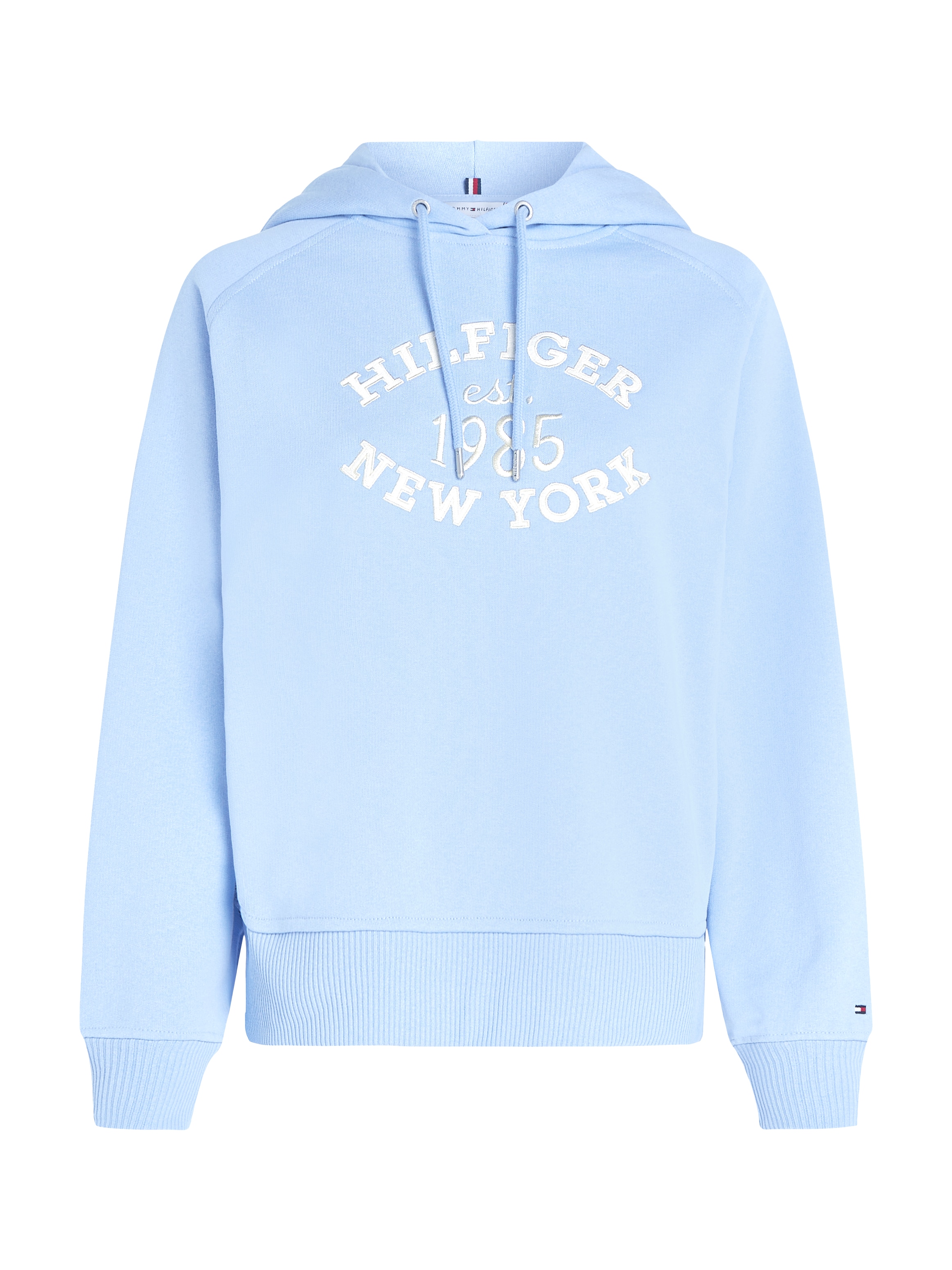 Tommy Hilfiger Curve Kapuzensweatshirt "CRV REG HILFIGER VARSITY HOODIE", G günstig online kaufen