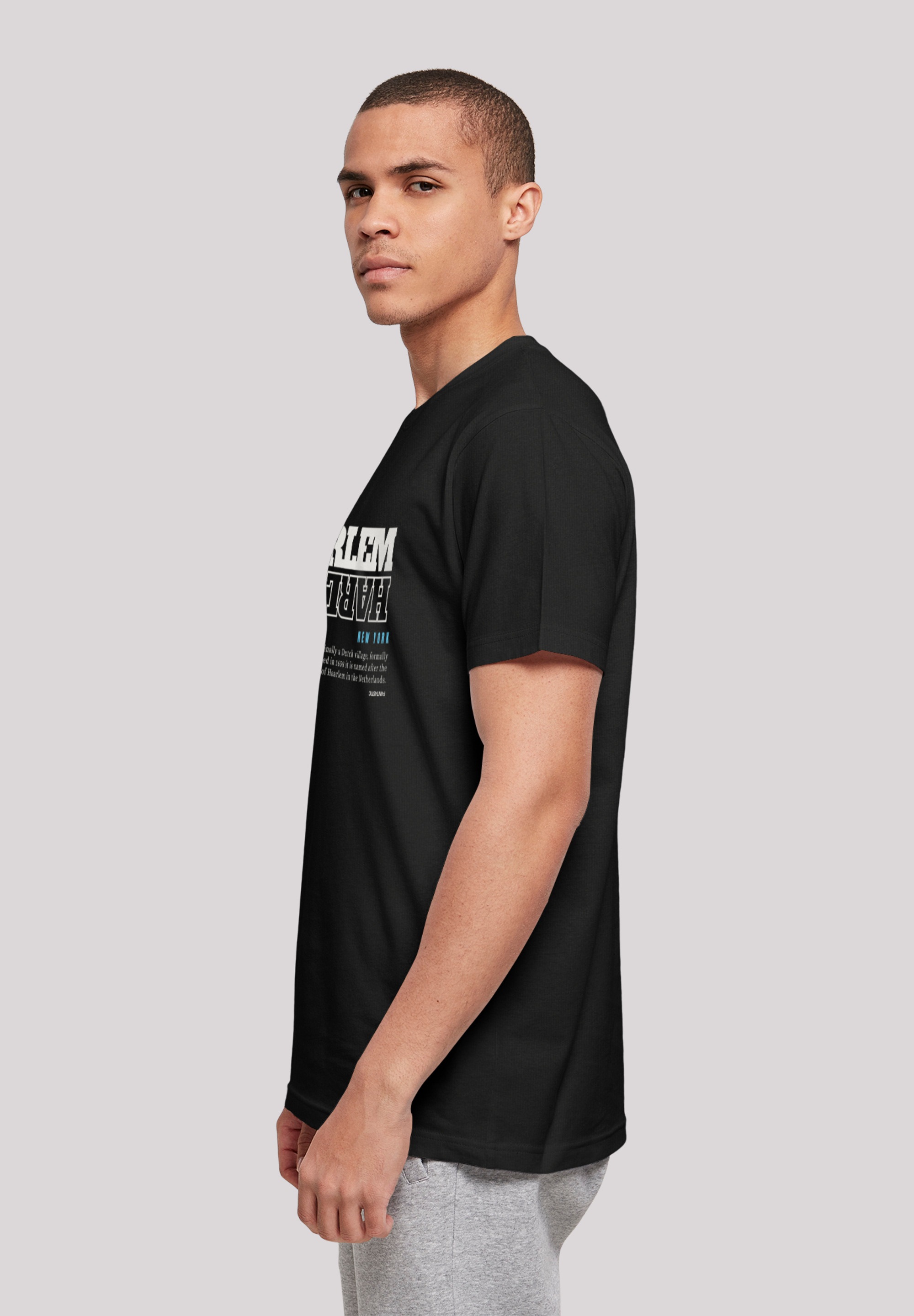 F4NT4STIC T-Shirt »Harlem TEE UNISEX«, Print
