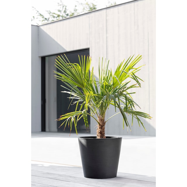 ECOPOTS Blumentopf »AMSTERDAM Dark Grey«, BAUR cm, BxTxH: Wasserreservoir | kaufen mit 40x40x35