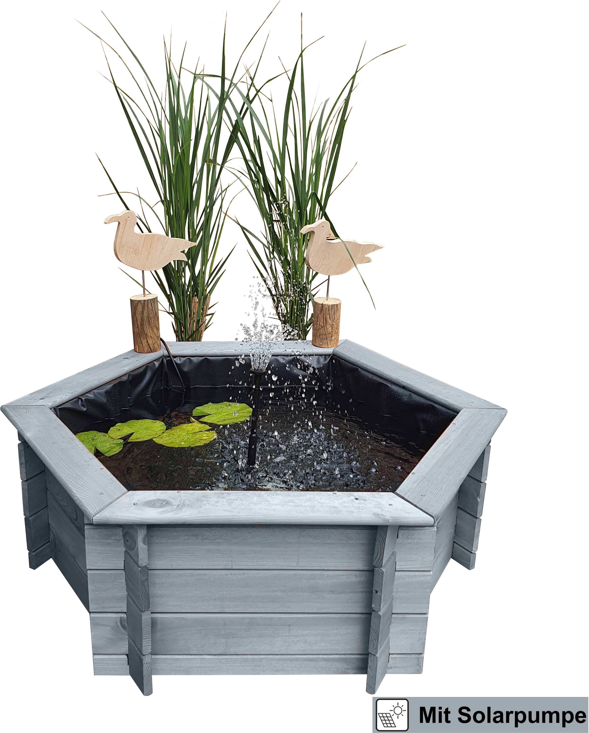 promadino Hochteich, mit Solarteichpumpe