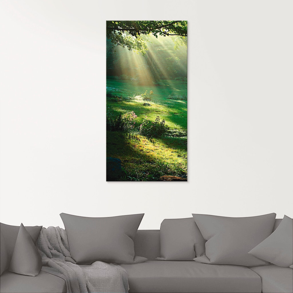 Artland Glasbild »Lichtkegel«, Wald, (1 St.)