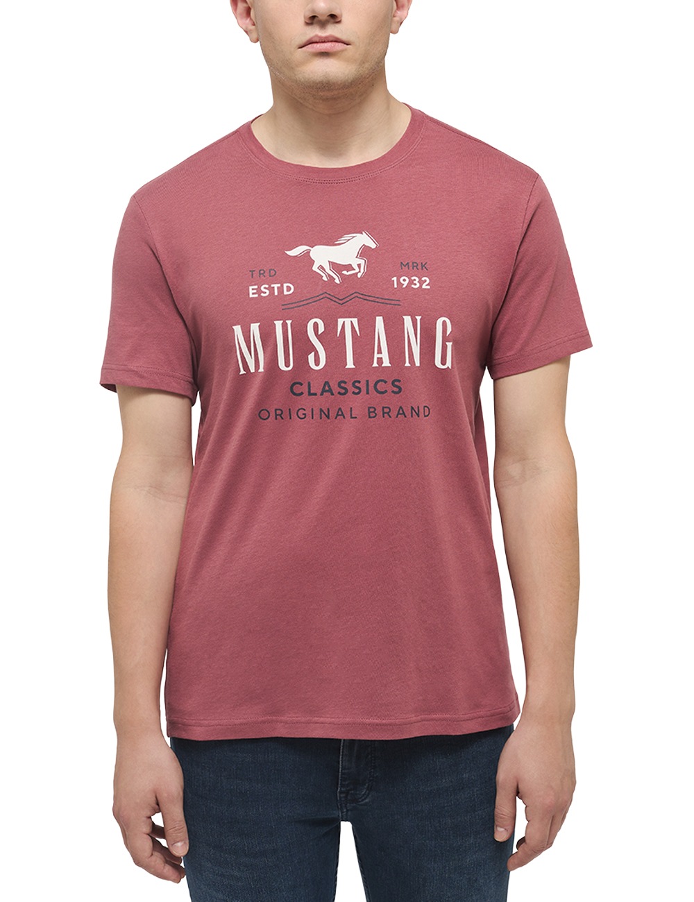 MUSTANG T-Shirt »Style Alex C Print«