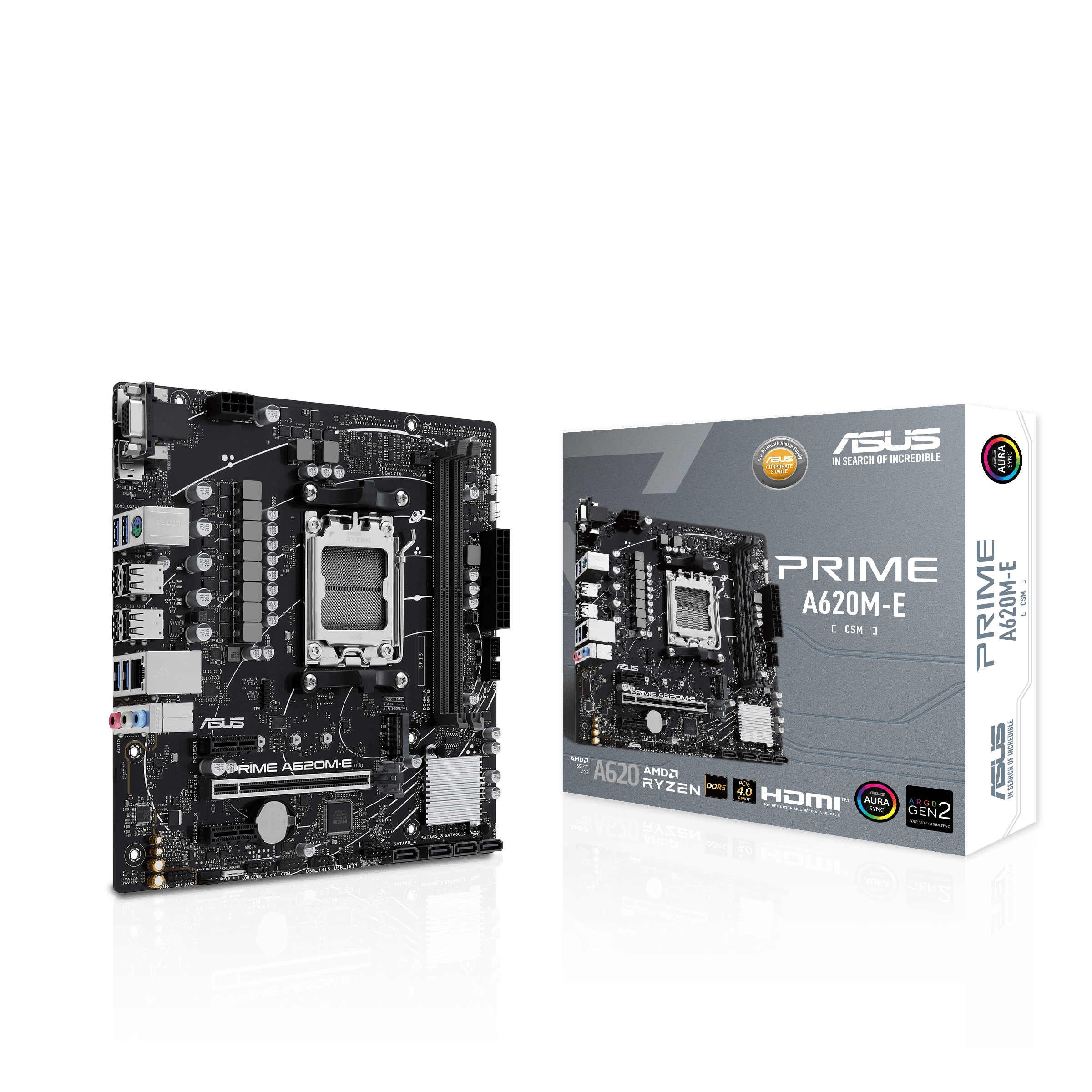 Asus Mainboard »PRIME A620M-E-CSM«