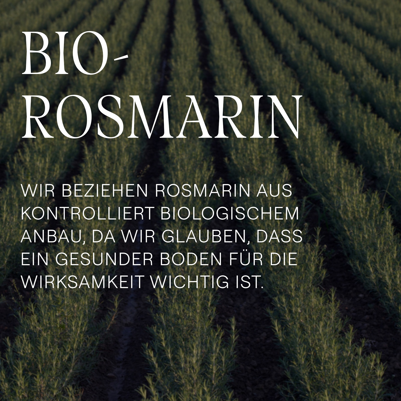 WELEDA Haartonikum »Belebendes Haar-Tonikum«