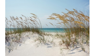 Fototapete »DÜNEN-MEER SEE KÜSTE NORDSEE OSTSEE STRAND SYLT BAUM«