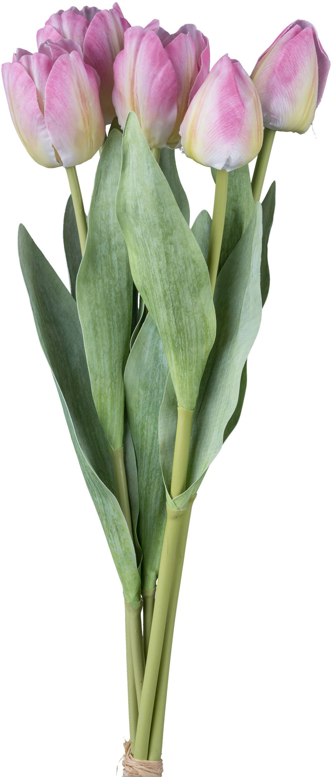 Creativ green Kunsttulpe "Bund aus Tulpen", mit 5 Stielen günstig online kaufen