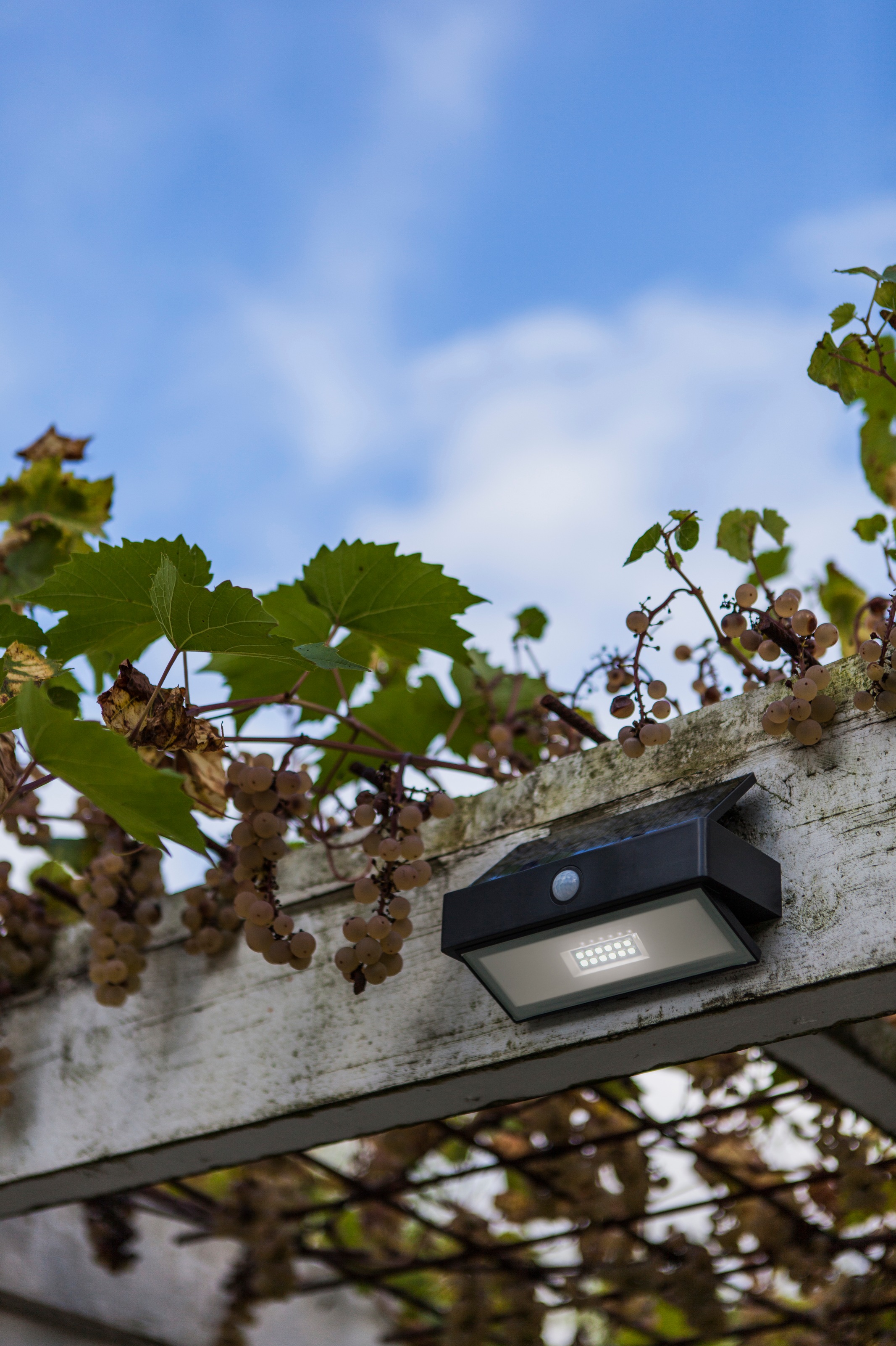LUTEC LED Solarleuchte »LED-Solar-Wandleuchte Arrow, anthrazit«, 1 flammig, Leuchtmittel LED-Board | LED fest integriert, Bewegungsmelder