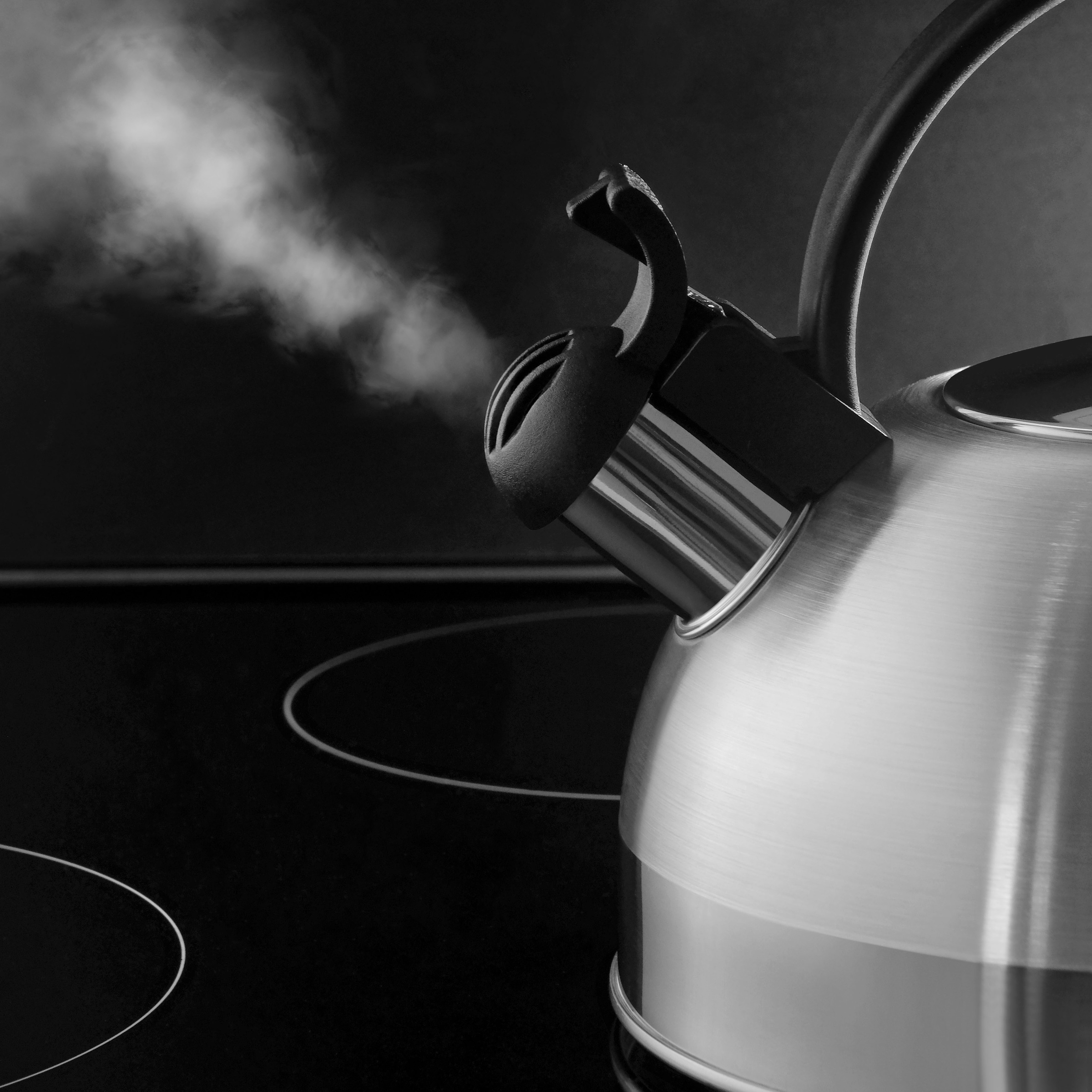 WMF Wasserkessel »Orbit«, Cromargan® Edelstahl Rostfrei 18/10, (2 tlg.), schnelles Erhitzen, energieeffizient, charakteristischer Pfeifton