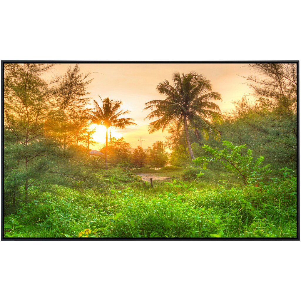 Papermoon Infrarotheizung »Erstaunlicher Dschungel Sonnenaufgang«, sehr angenehme Strahlungswärme
