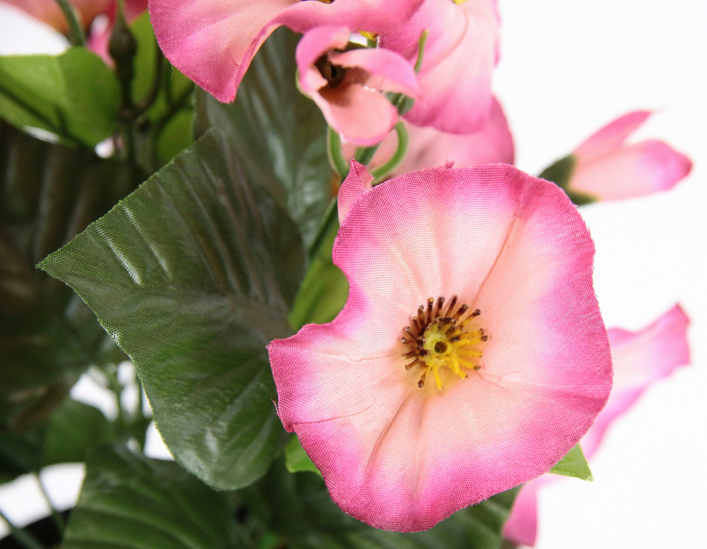 Set Petunien Topf, Glockenblume kaufen 2er Blumen Kunstblume »Petunien«, Deko | BAUR klein Im Zierpflanze I.GE.A.