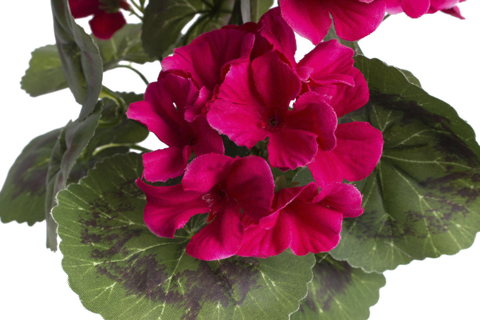 Botanic-Haus Kunstblume „Geranienbusch mit 6 Blütenköpfen“ beauty