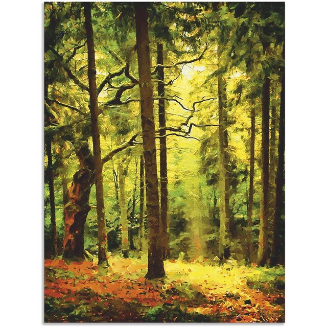 Artland Wandbild »Wald II«, Waldbilder, (1 St.), als Alubild, Leinwandbild,  Wandaufkleber oder Poster in versch. Größen bestellen | BAUR