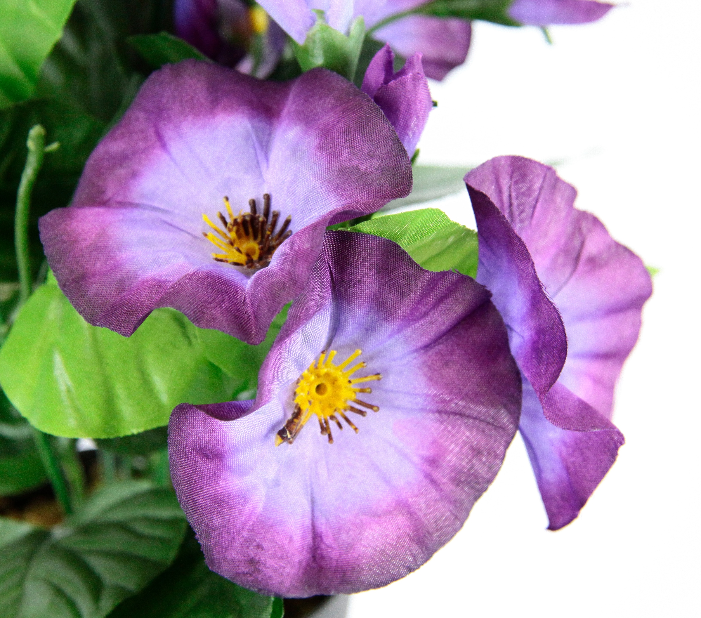 I.GE.A. Kunstblume »Petunien«, Im Topf, 2er Set Petunien Zierpflanze Glockenblume klein Blumen Deko