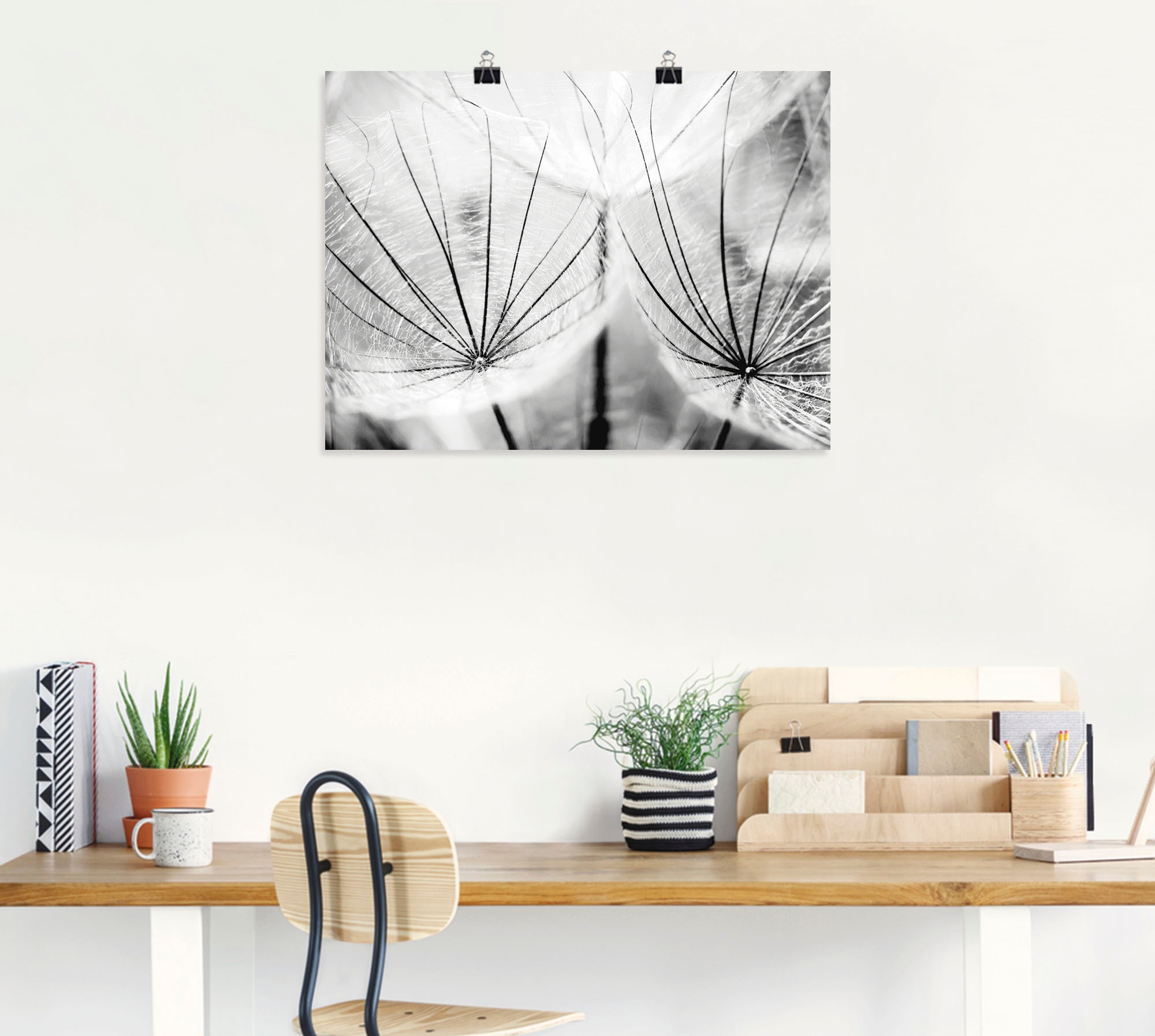 Artland Wandbild "Pusteblume in schwarzweiß", Blumen, (1 St.), als Alubild, günstig online kaufen