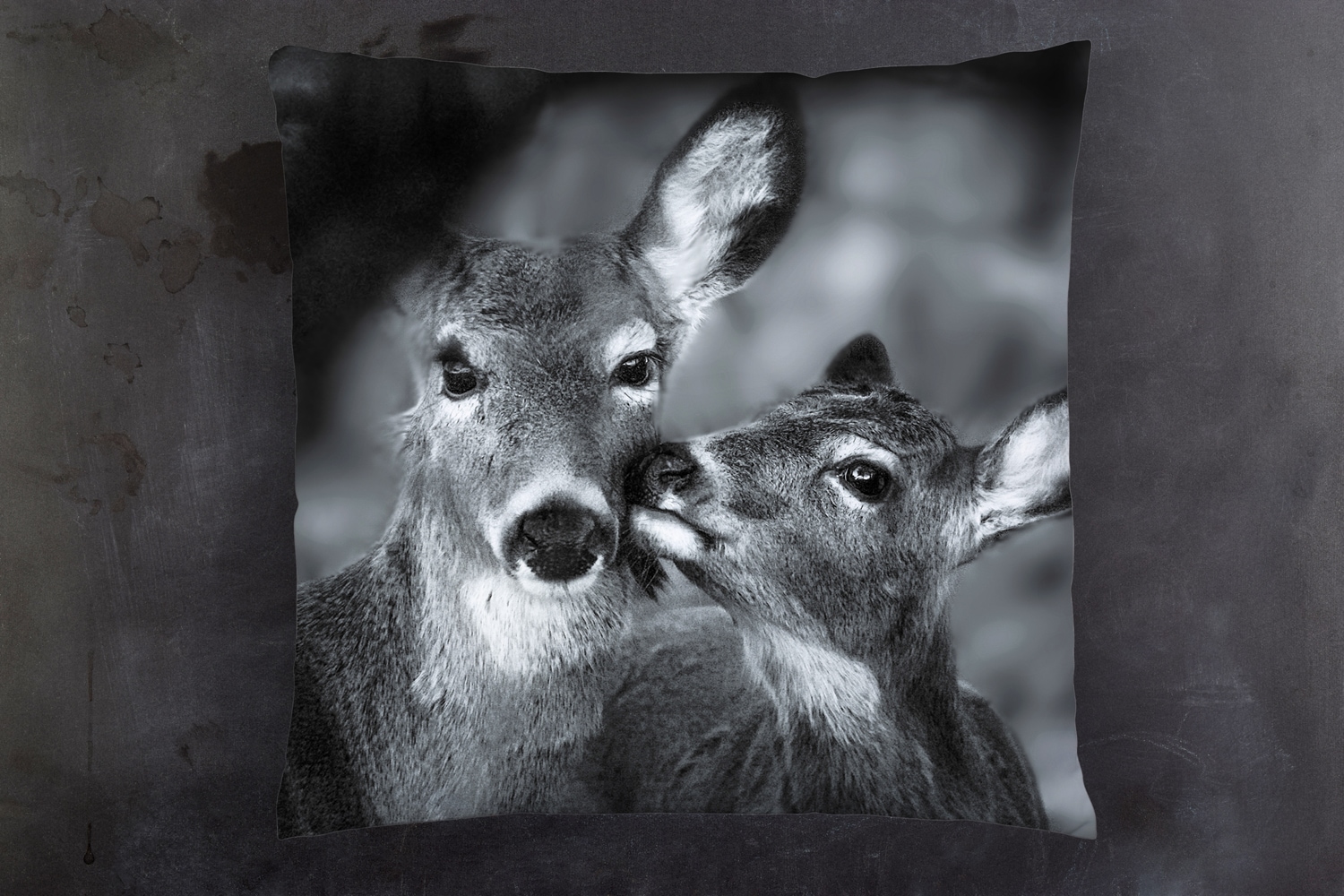 queence Dekokissen »Rehkitz mit Mama«, Kissenhülle mit HD Premium Druck, geruchsneutral, 40x40cm