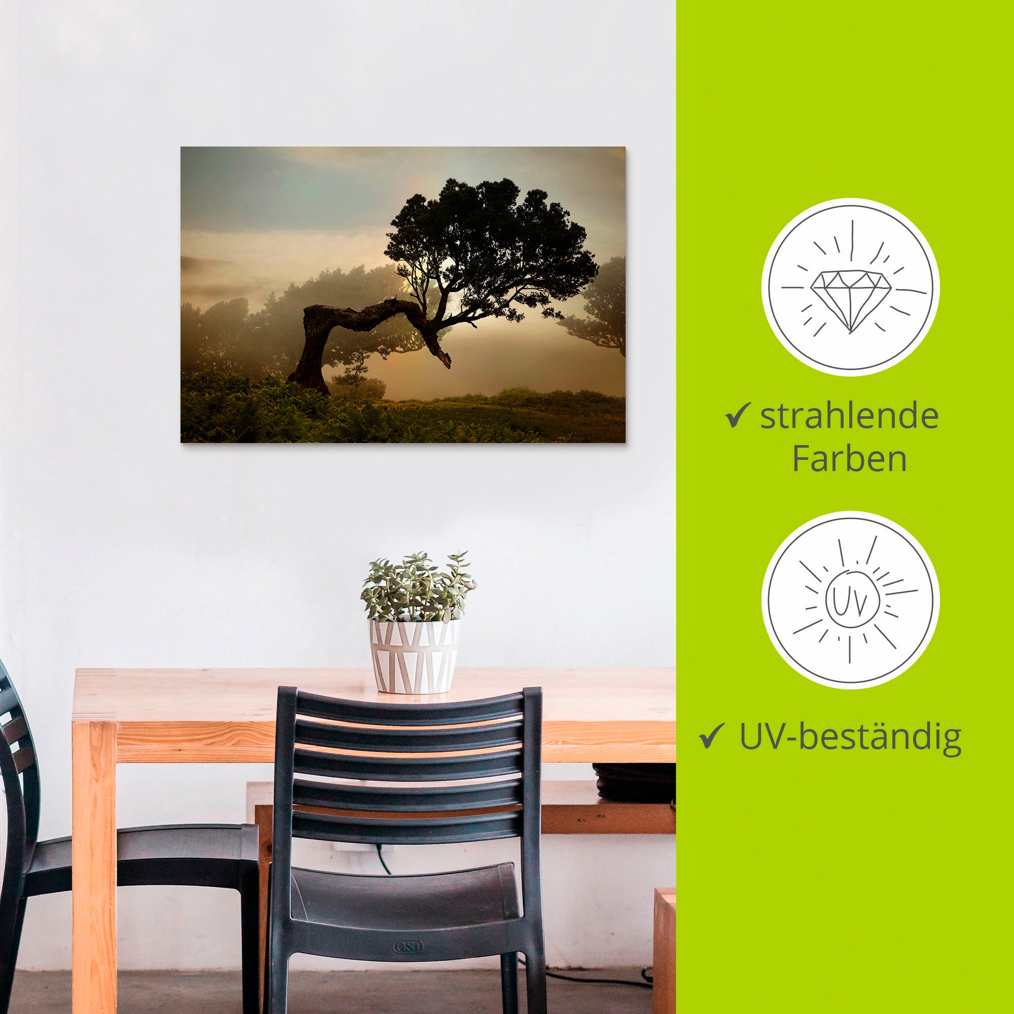Artland Wandbild »Lorbeerbaum«, Bäume, (1 St.), als Alubild, Outdoorbild, Leinwandbild, Poster, Wandaufkleber