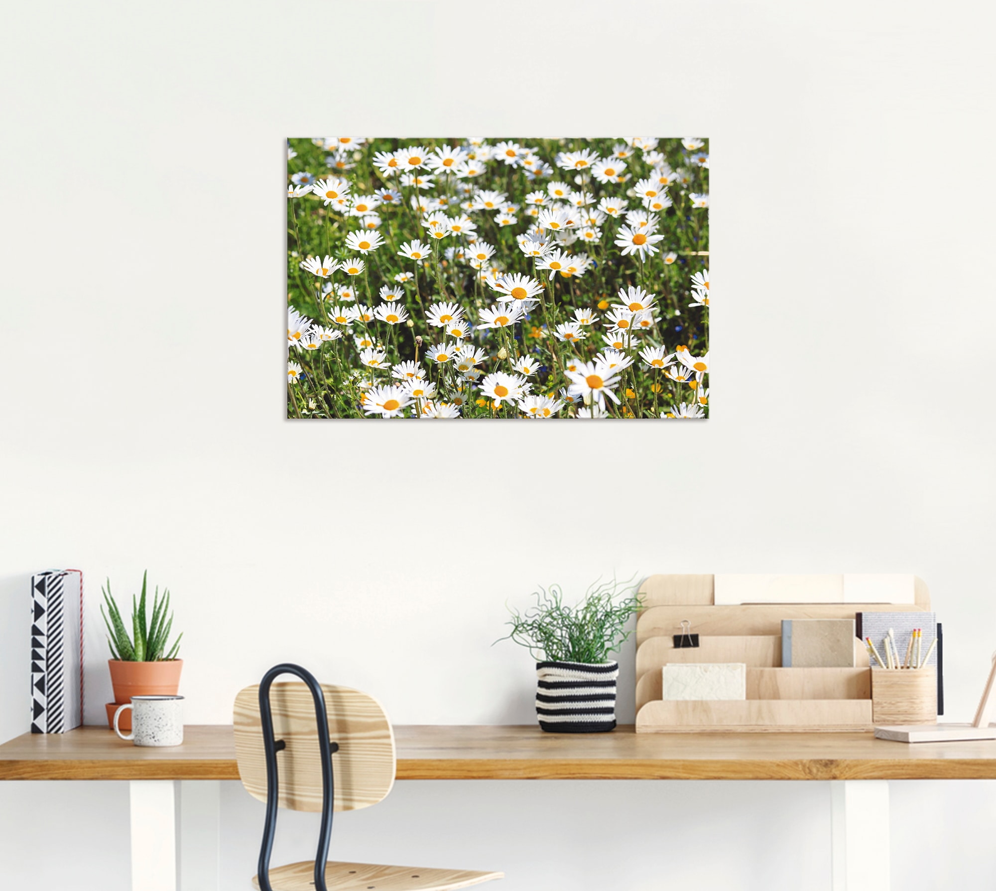 Artland Wandbild »Gänseblümchen« Blumen 1 Stk. tlg. für Innen- und Außenbereich geeignet, Outdoorbild