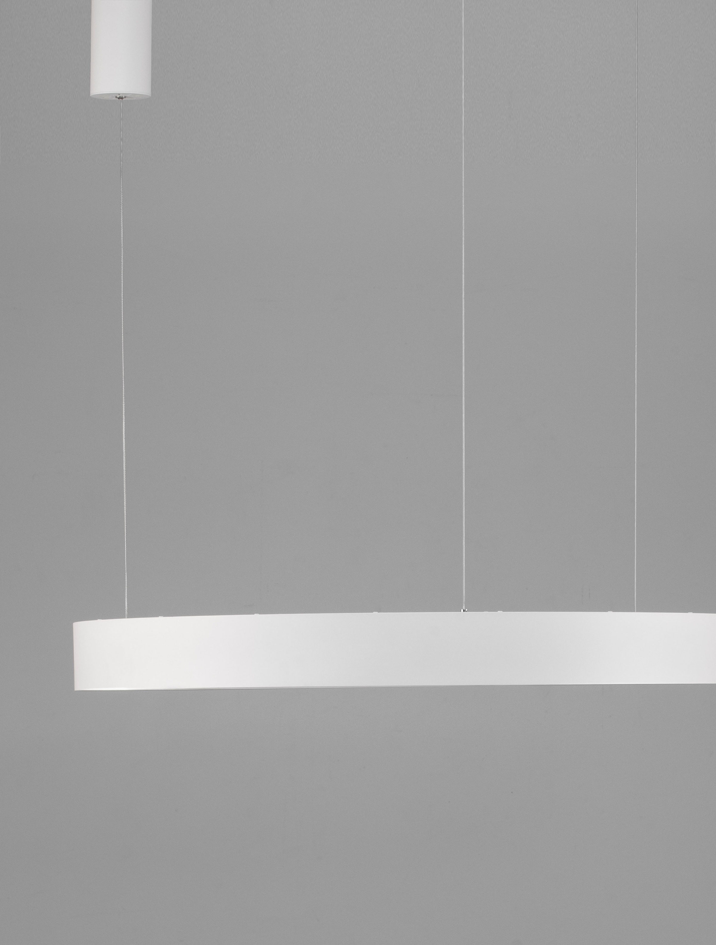 Nova Luce LED-Hängeleuchte »MORBIDO«, 1 flammig, Leuchtmittel LED-Modul | LED fest integriert
