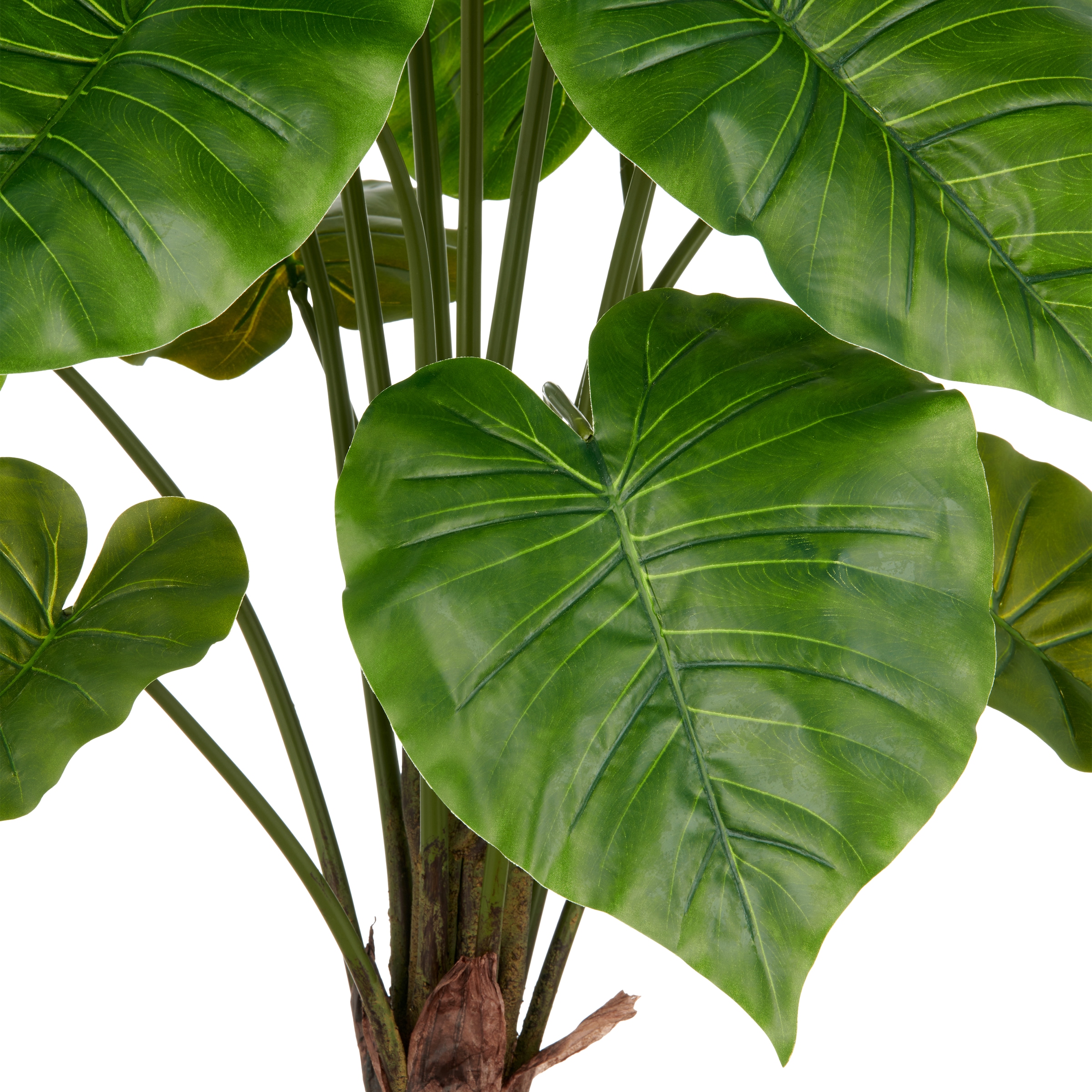 Creativ green Kunstpflanze »Alocasia Wentii«, mit naturgetreuem Blattwerk