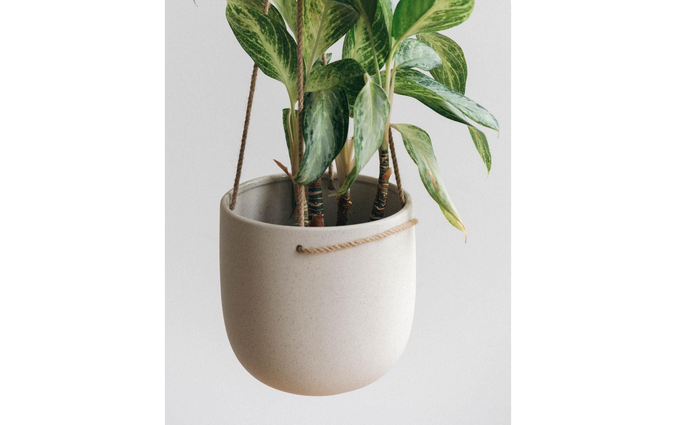 Esmée Blumentopf »zum Hängen 18 cm, Beige«