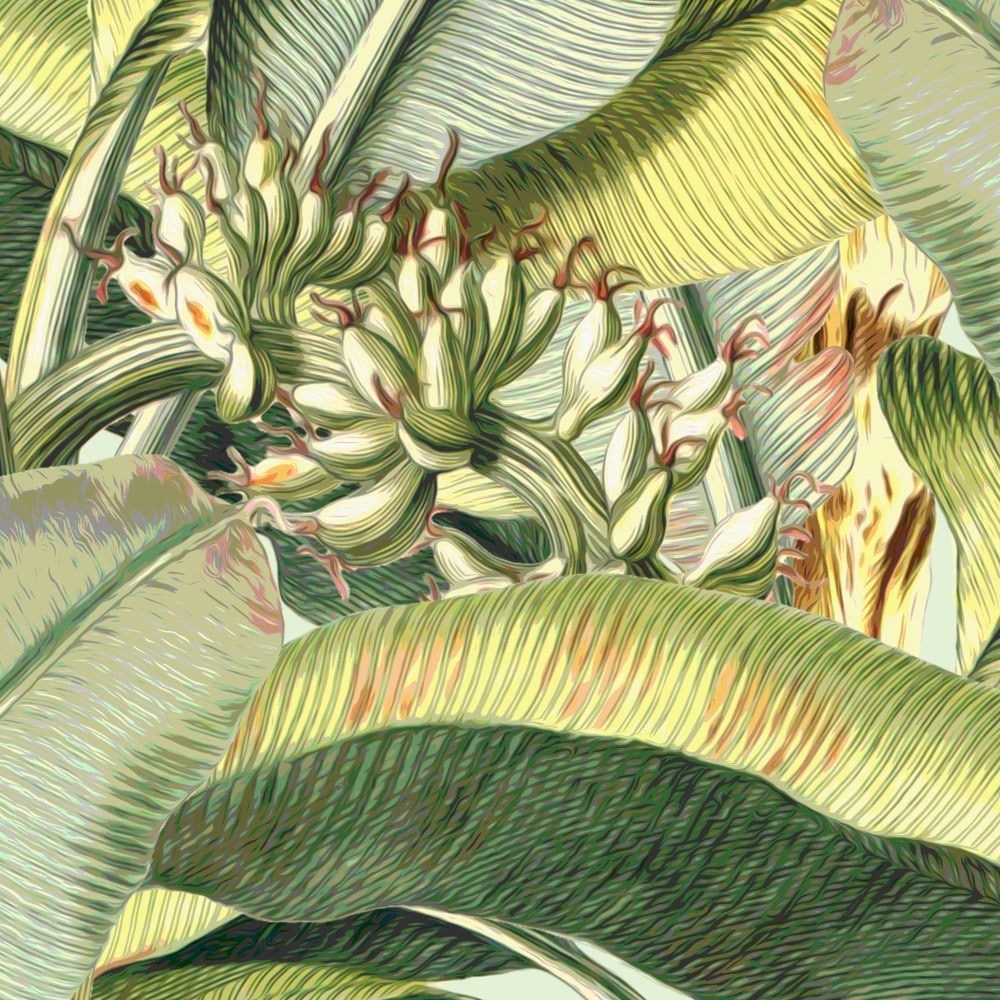 Komar Fototapete »Vlies Fototapete - Banana Grove - Größe 200 x 250 cm« Motiv | bedruckt glatt