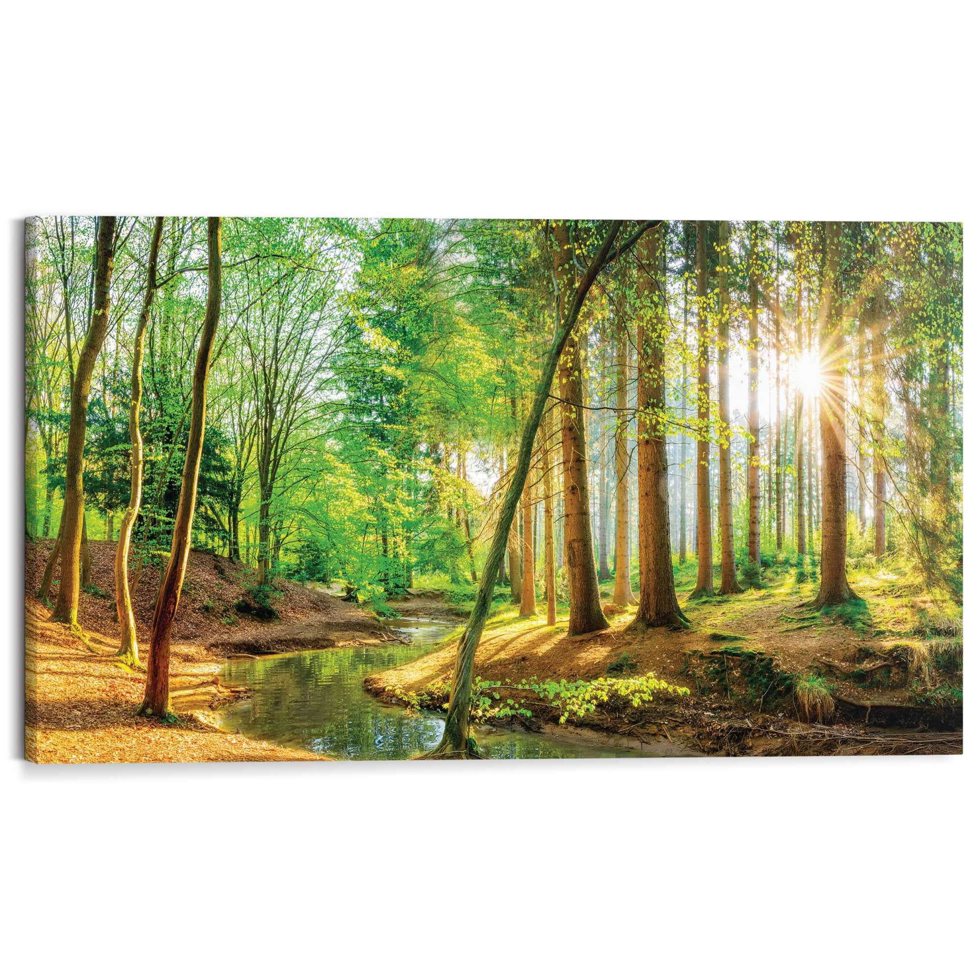 Reinders Deco-Panel "Sonnenschein im Wald", Hobbyraum - Grün - MDF - Wald - günstig online kaufen