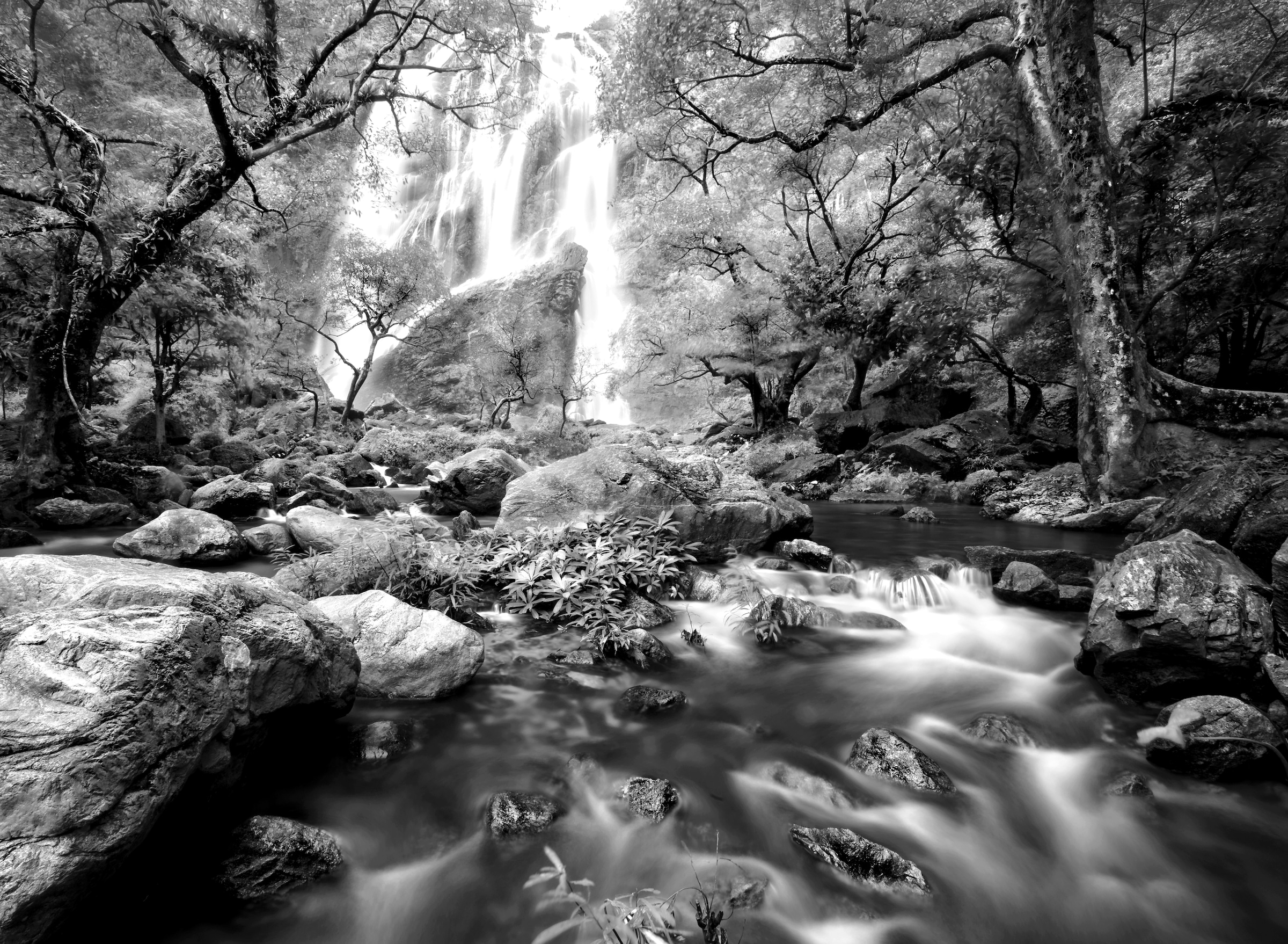 Papermoon Fototapete »Wasserfall im Wald Schwarz & Weiß«
