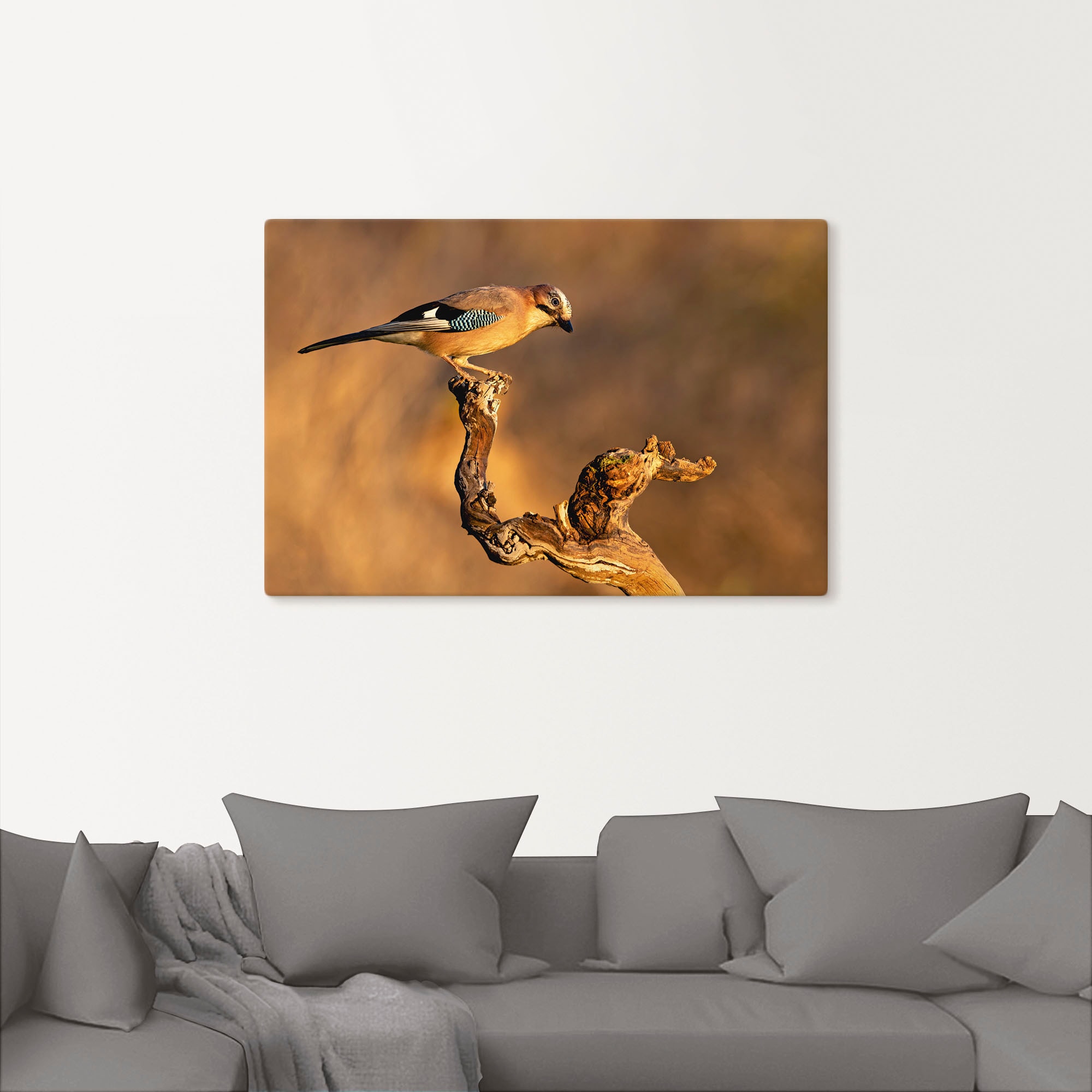 Artland Wandbild "Eichelhäher", Vogelbilder, (1 St.), als Leinwandbild, Pos günstig online kaufen