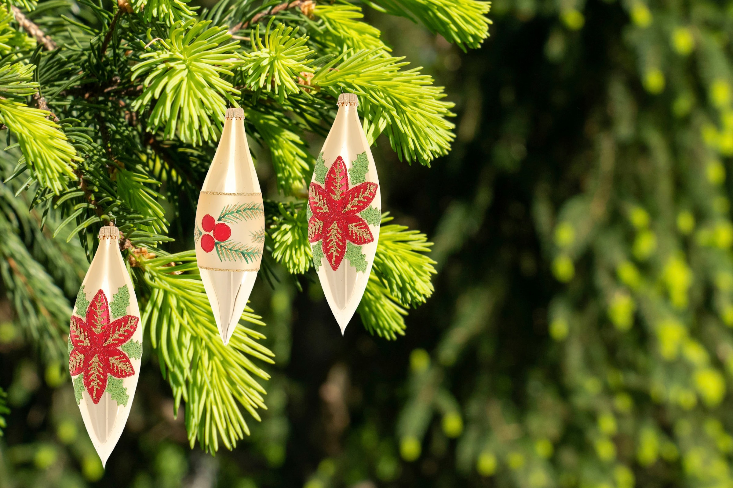 Krebs Glas Lauscha Christbaumschmuck »Weihnachtsstern & Beeren, in Olivenform«, (Set, 3 tlg.), Weihnachtsdeko, Christbaumkugeln aus Glas, Weihnachtsbaumkugel