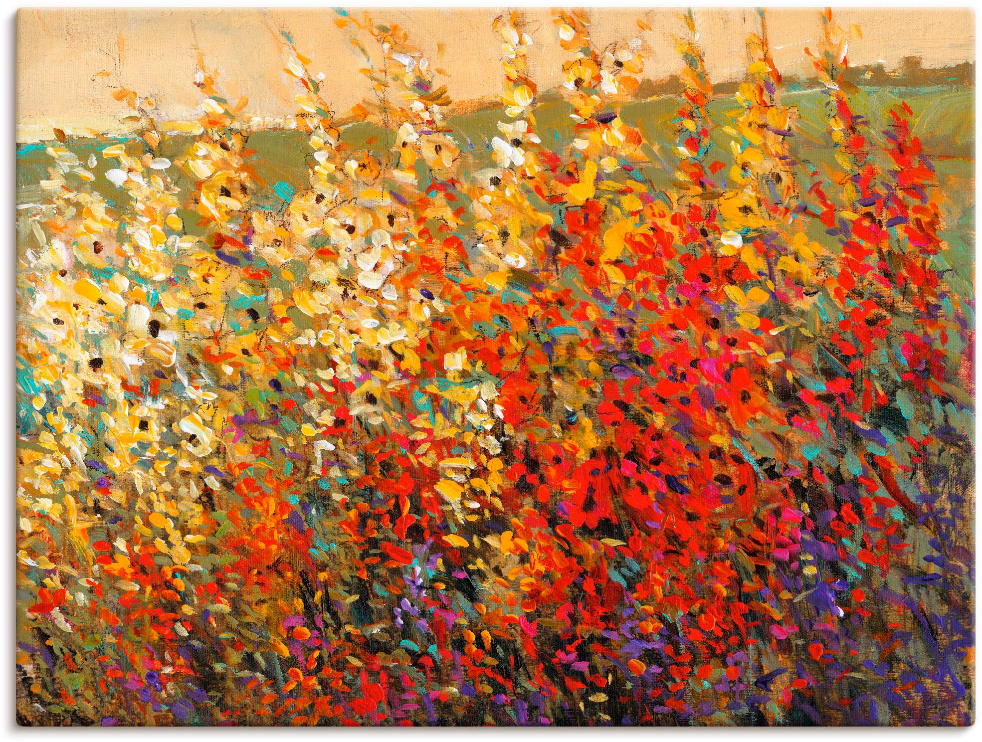 Artland Leinwandbild "Feld mit Herbstblumen I", Blumenwiese, (1 St.), auf Keilrahmen gespannt