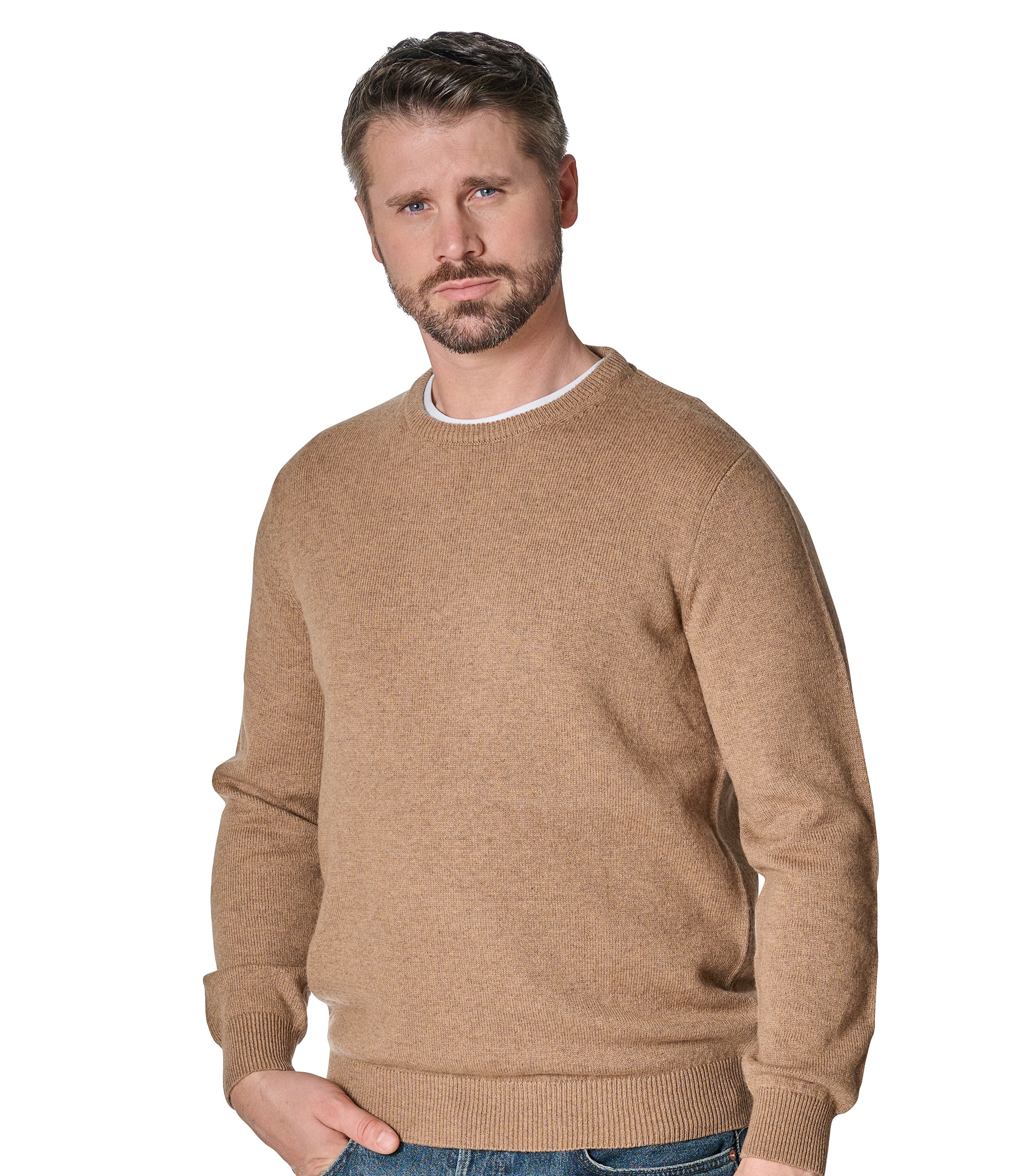 CASAMODA Strickpullover "CASAMODA Pullover uni" günstig online kaufen