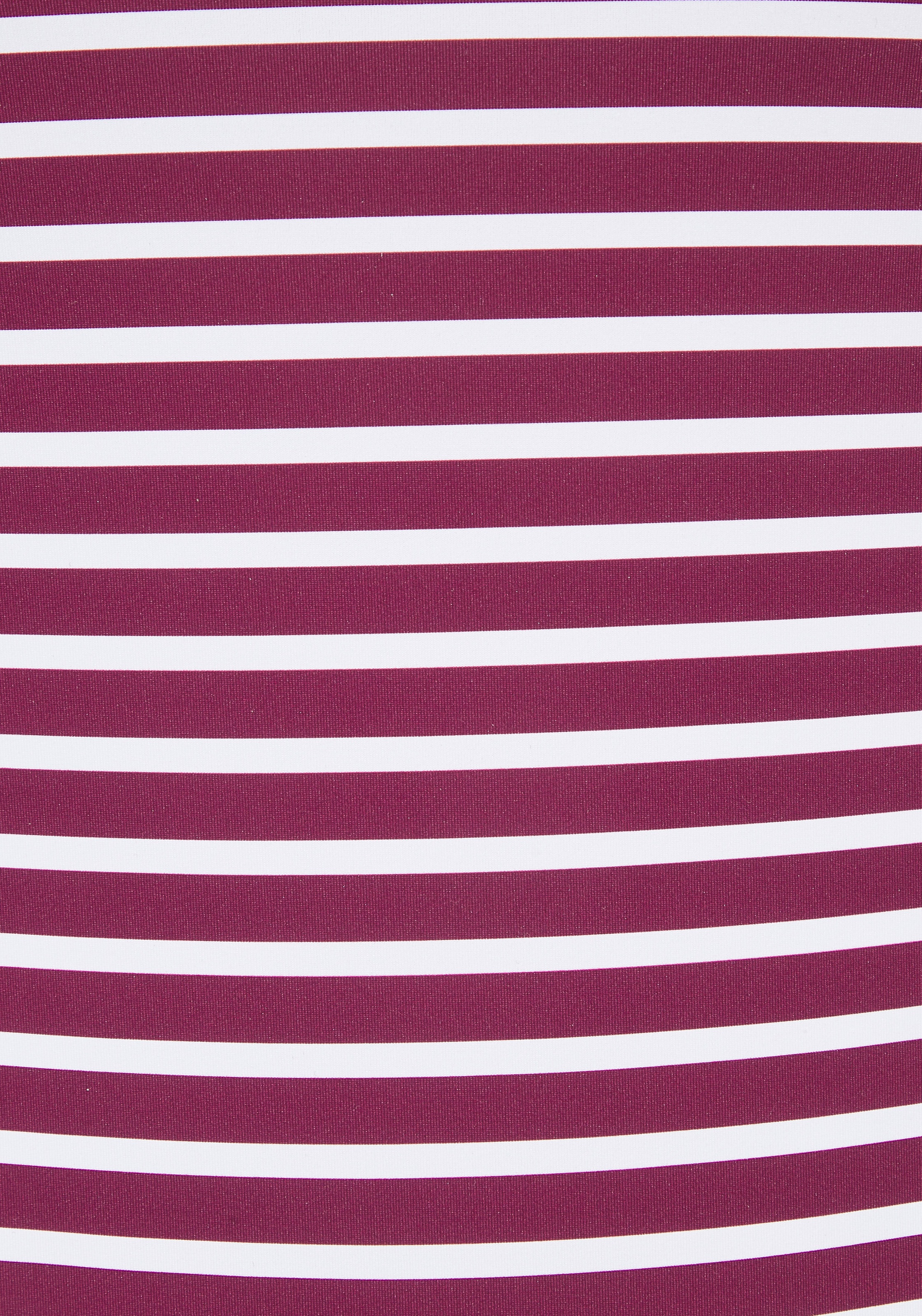 Venice Beach Tadu Swimsuit Bordeaux/White 40 4