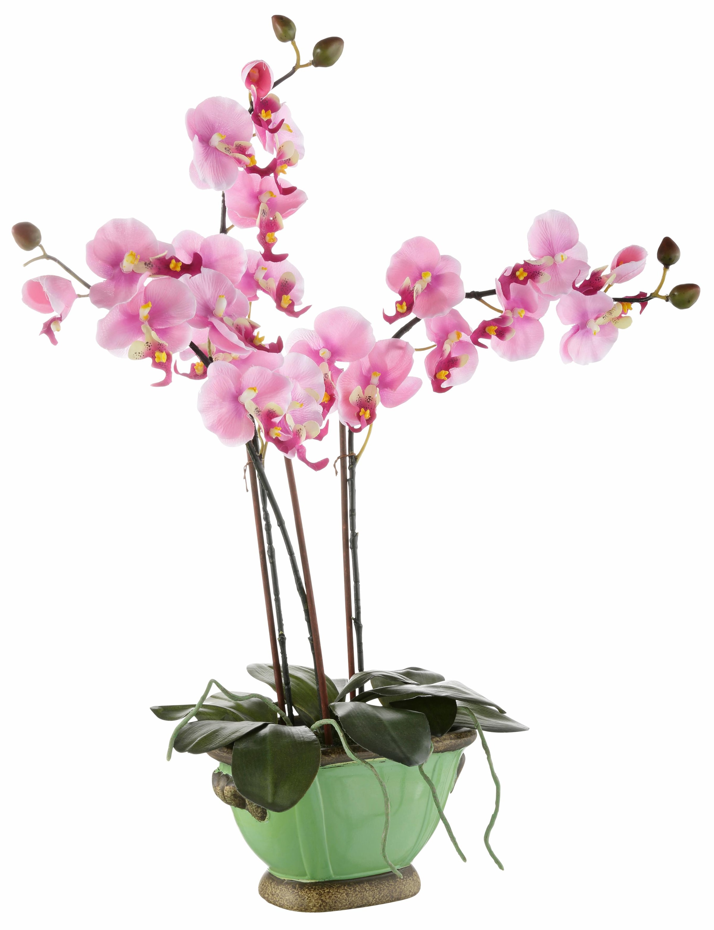 I.GE.A. Kunstpflanze »Orchidee«